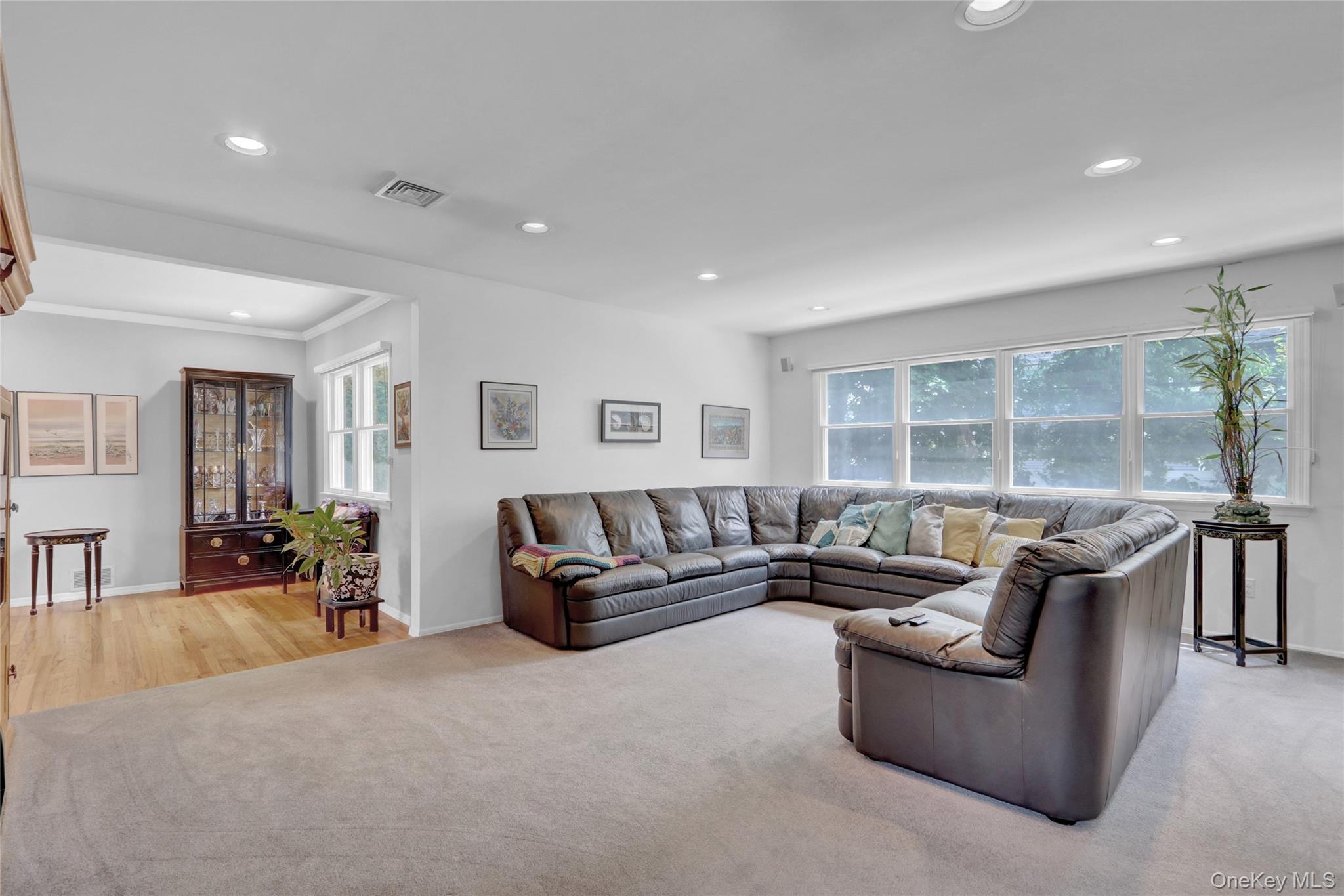 Single Family Lillian  Nassau County, NY 11803, MLS-923829-13