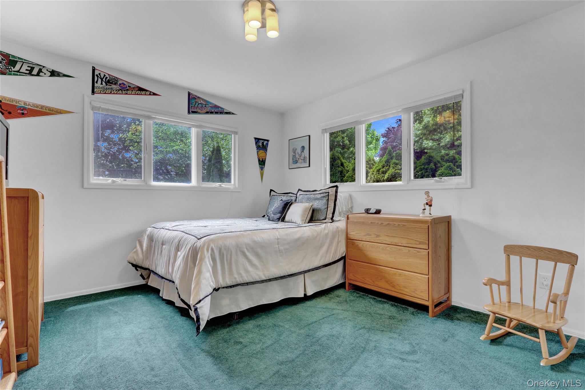 Single Family Lillian  Nassau County, NY 11803, MLS-923829-16