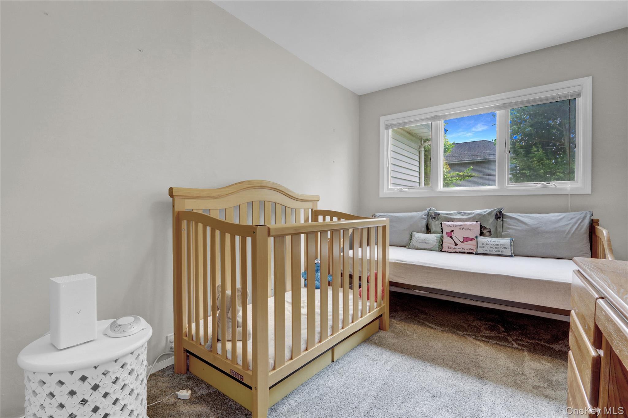 Single Family Lillian  Nassau County, NY 11803, MLS-923829-18