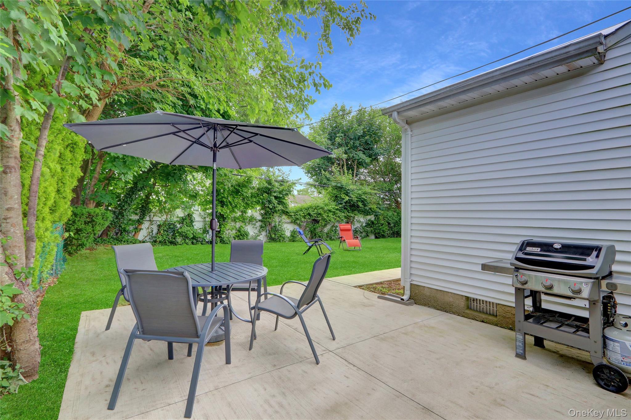 Single Family Lillian  Nassau County, NY 11803, MLS-923829-29