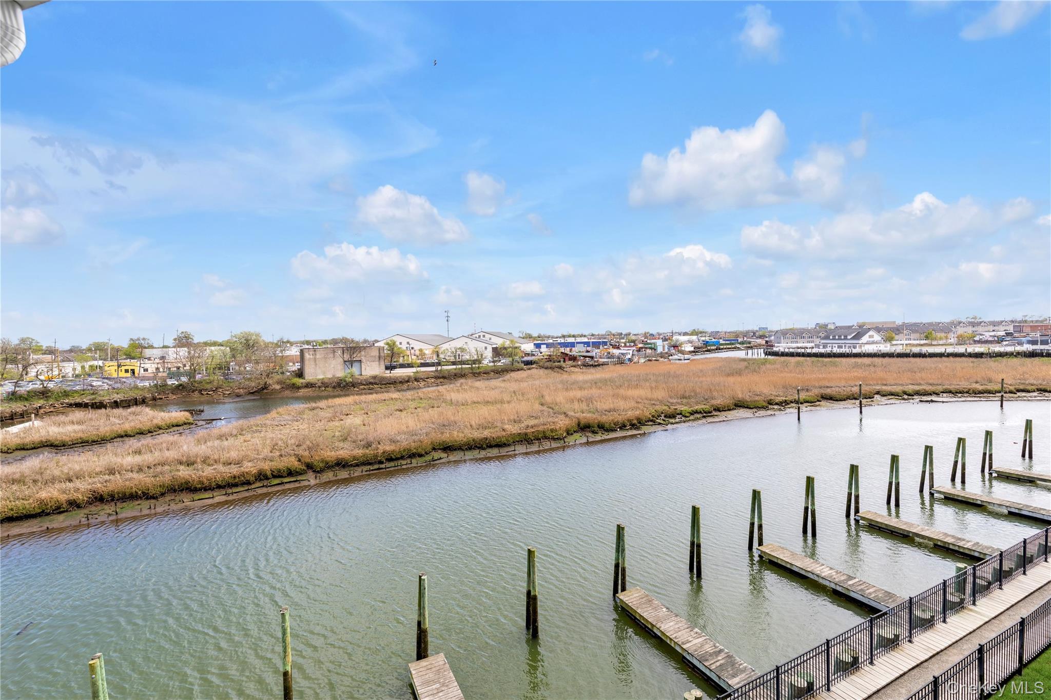 Condo Marina Point Nassau County, NY 11518, MLS-923907-7