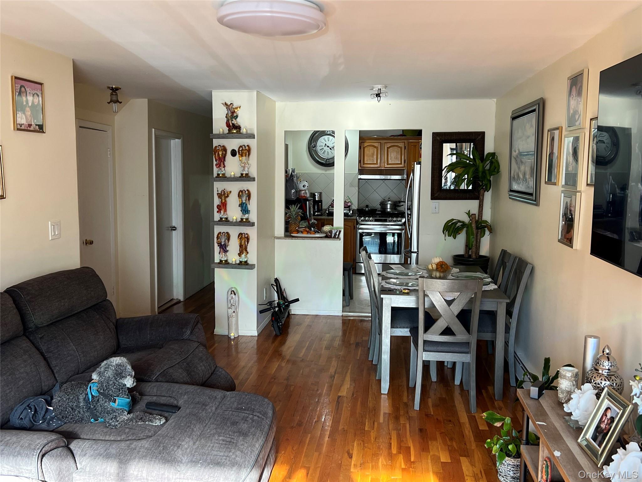 Condo Roosevelt  Queens, NY 11354, MLS-923984-13