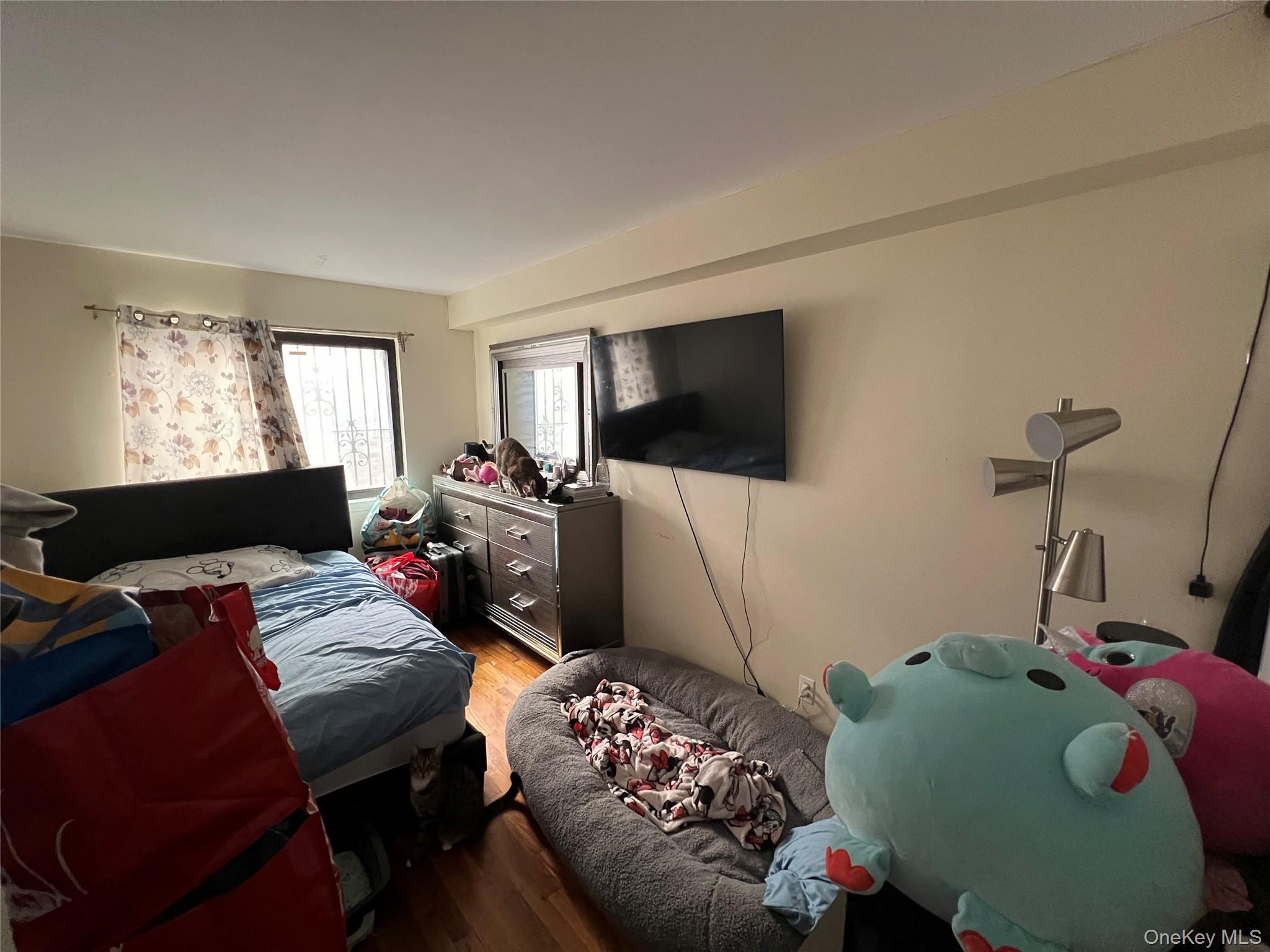 Single Family Roosevelt Queens, NY 11354, MLS-924002-17