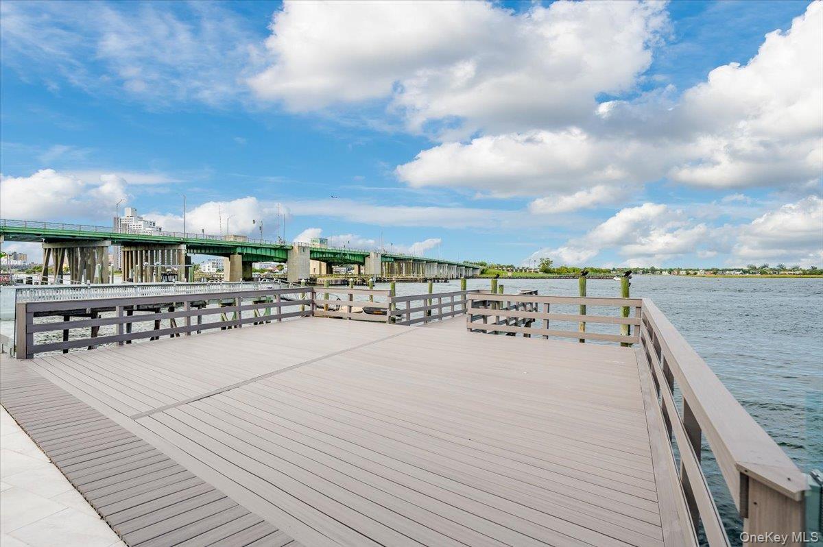 Single Family Albany Nassau County, NY 11509, MLS-924009-40