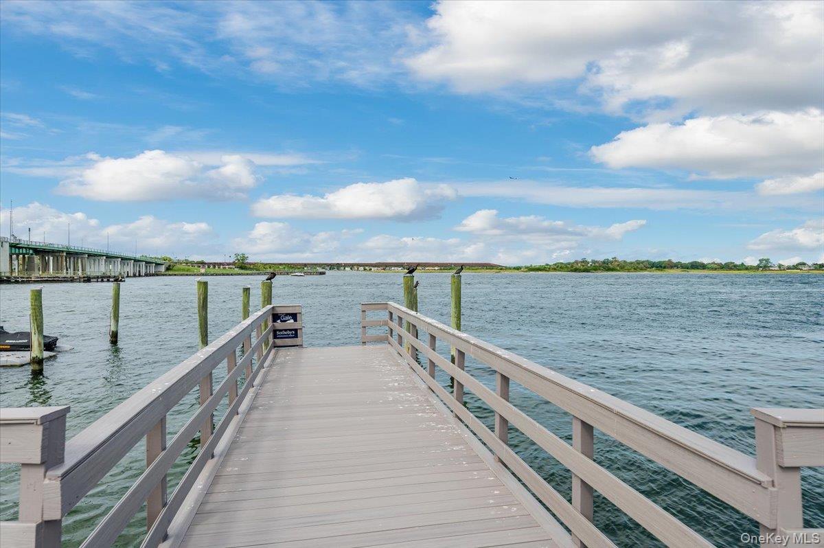 Single Family Albany Nassau County, NY 11509, MLS-924009-41