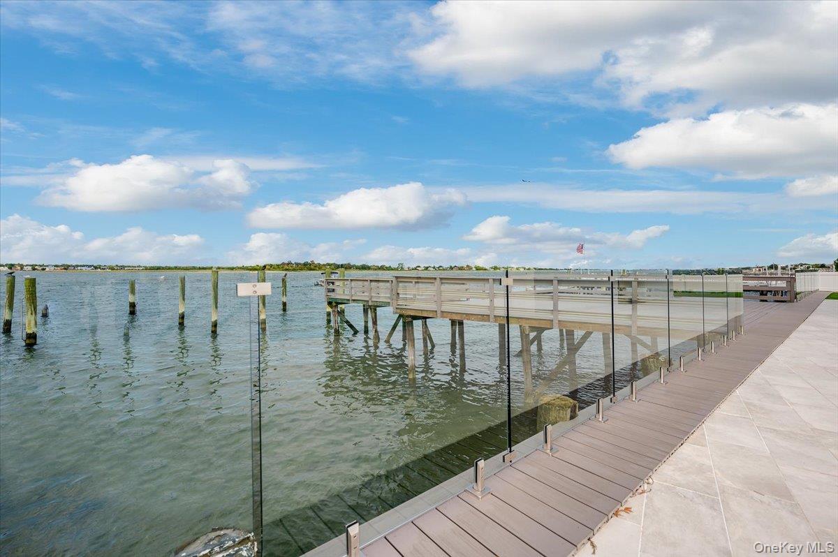 Single Family Albany  Nassau County, NY 11509, MLS-924009-42