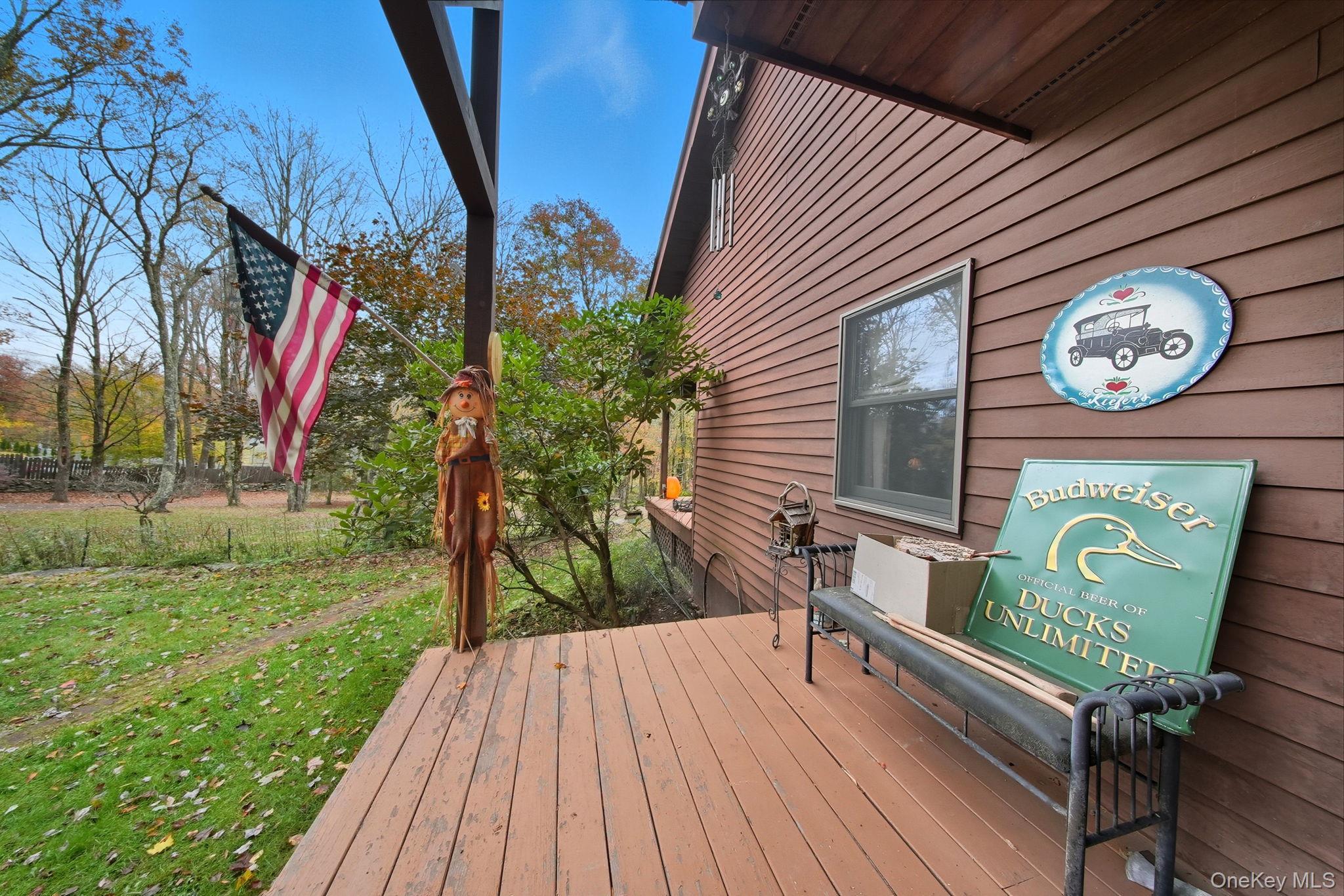 Single Family Coopers Corner Sullivan County, NY 12701, MLS-924119-6