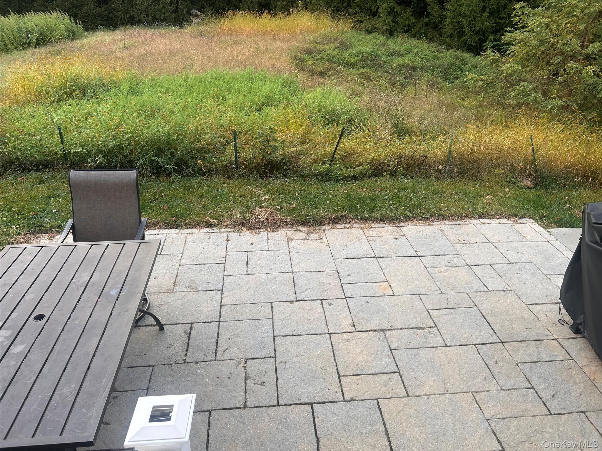 Single Family Robinson Dutchess County, NY 12590, MLS-924121-27