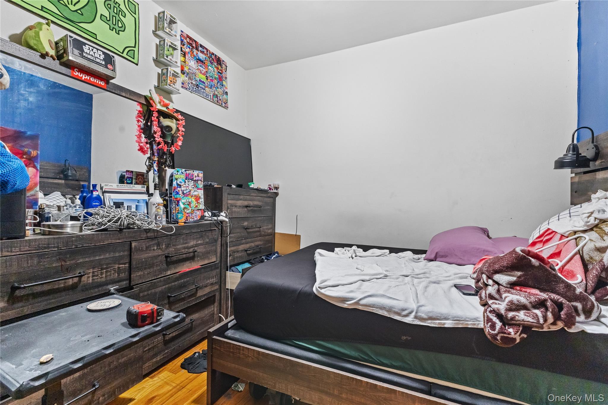 Single Family 236th  Bronx, NY 10466, MLS-924167-11