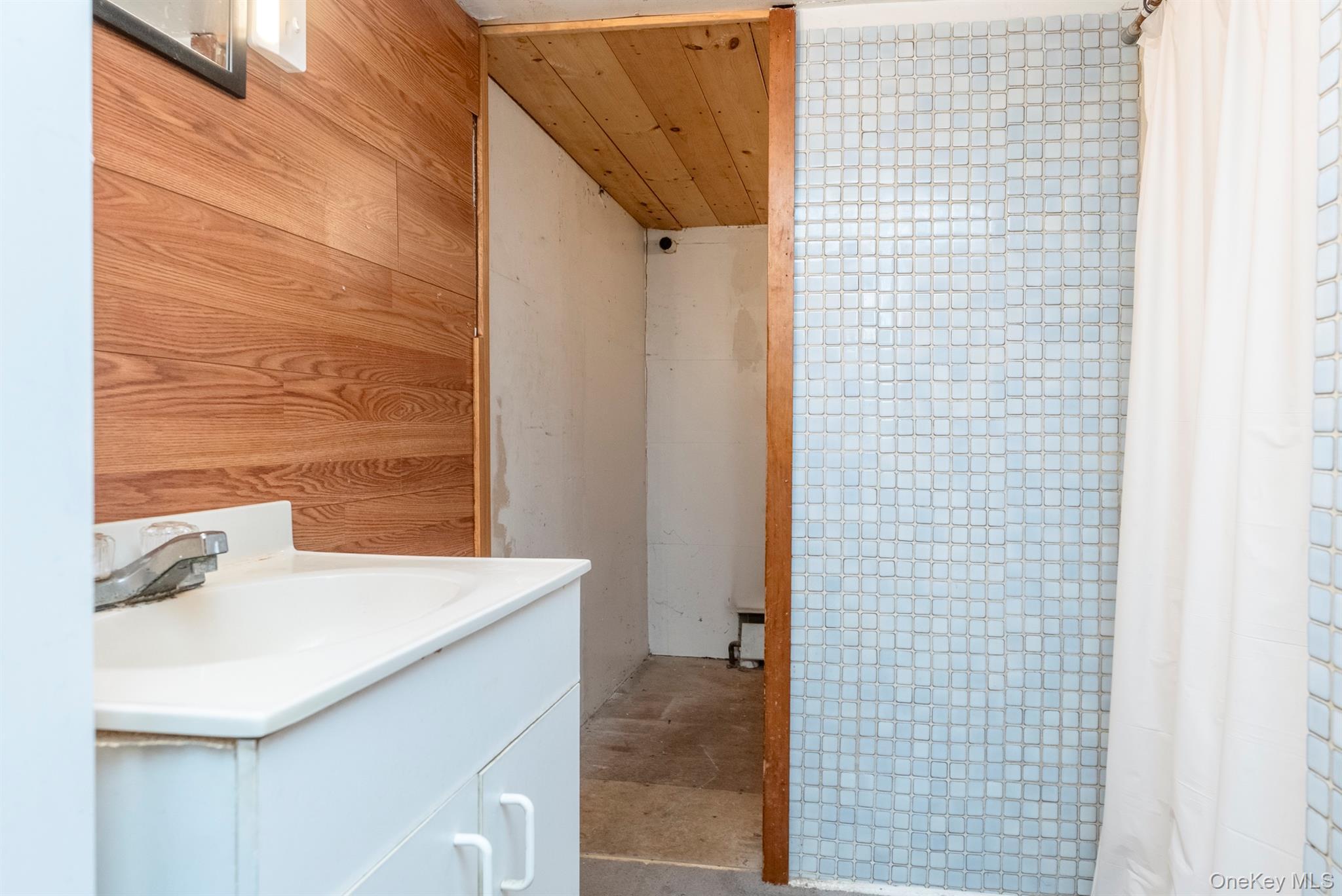 Single Family Miller Ulster County, NY 12561, MLS-924260-19