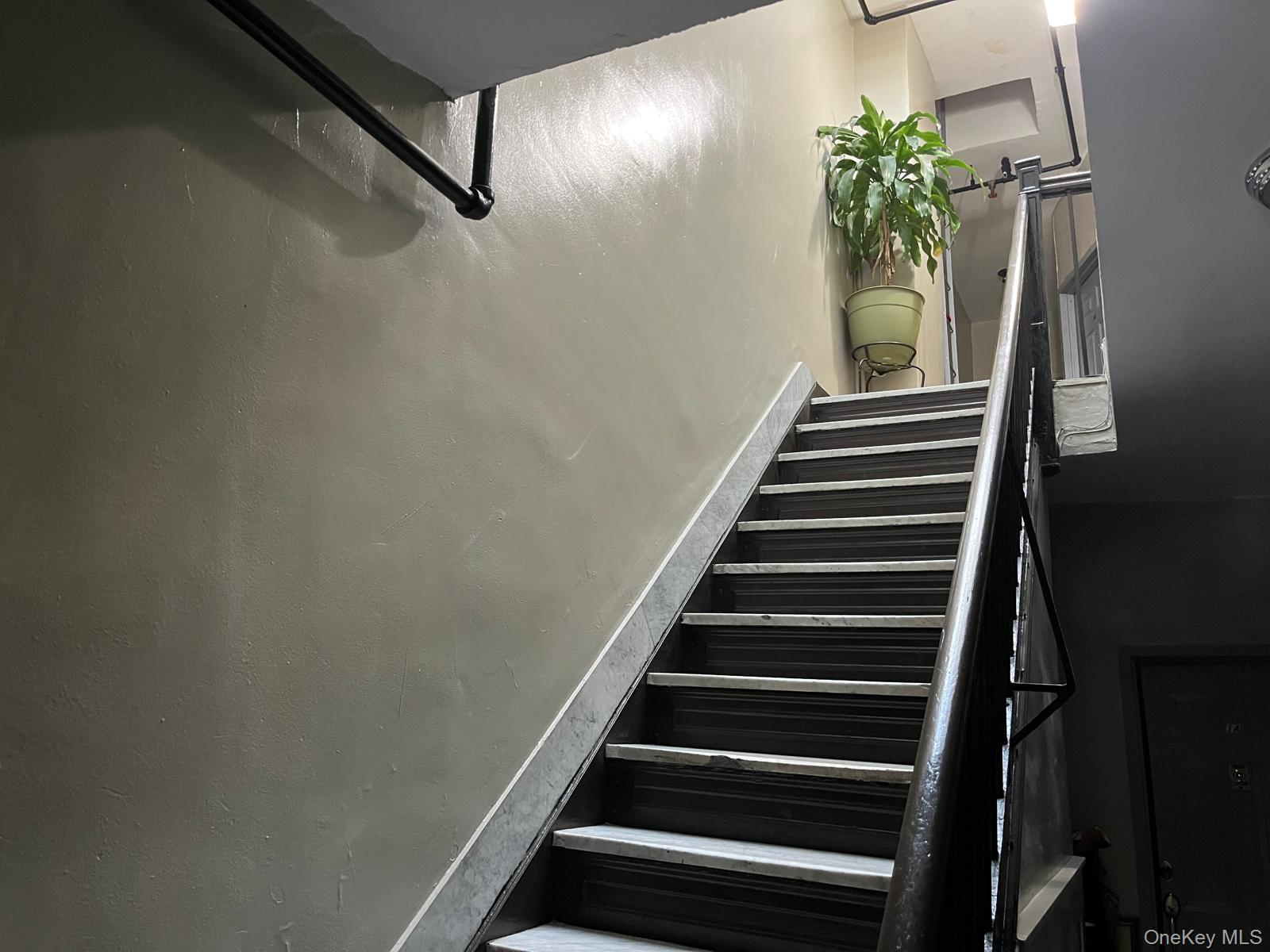 Single Family 100th Queens, NY 11368, MLS-924304-8