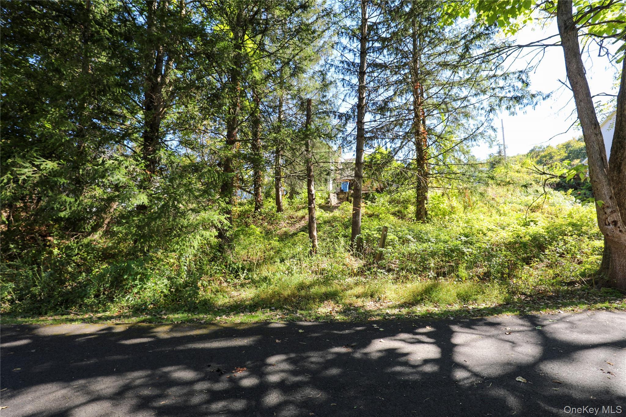 Single Family Gross Ulster County, NY 12401, MLS-924317-19