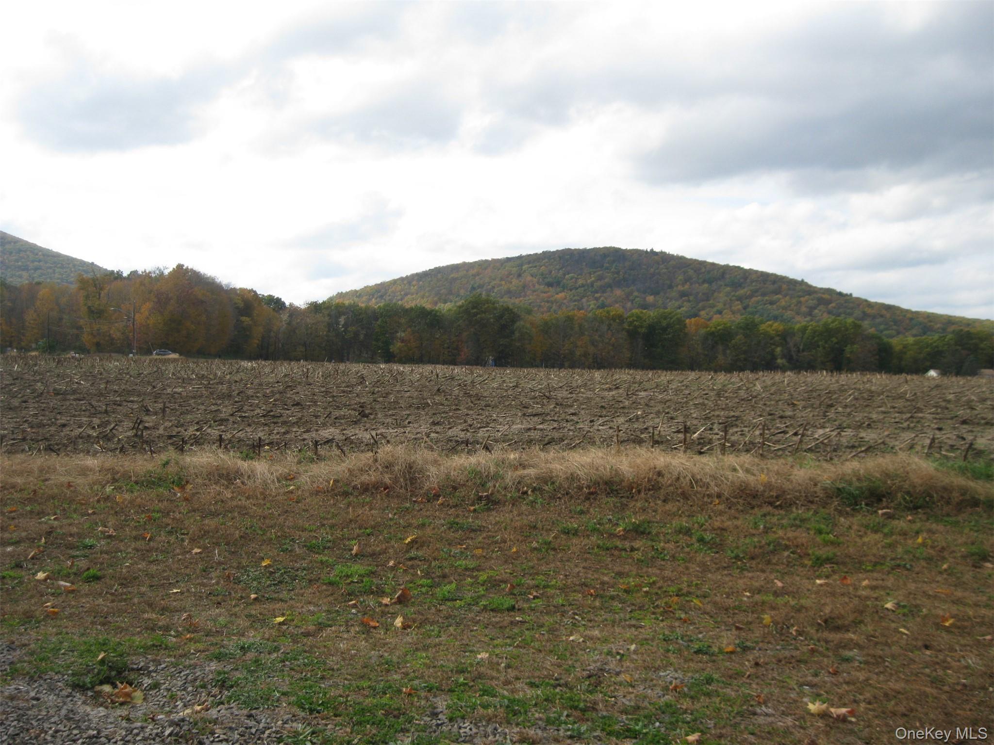 Single Family Lake  Dutchess County, NY 12567, MLS-924504-33