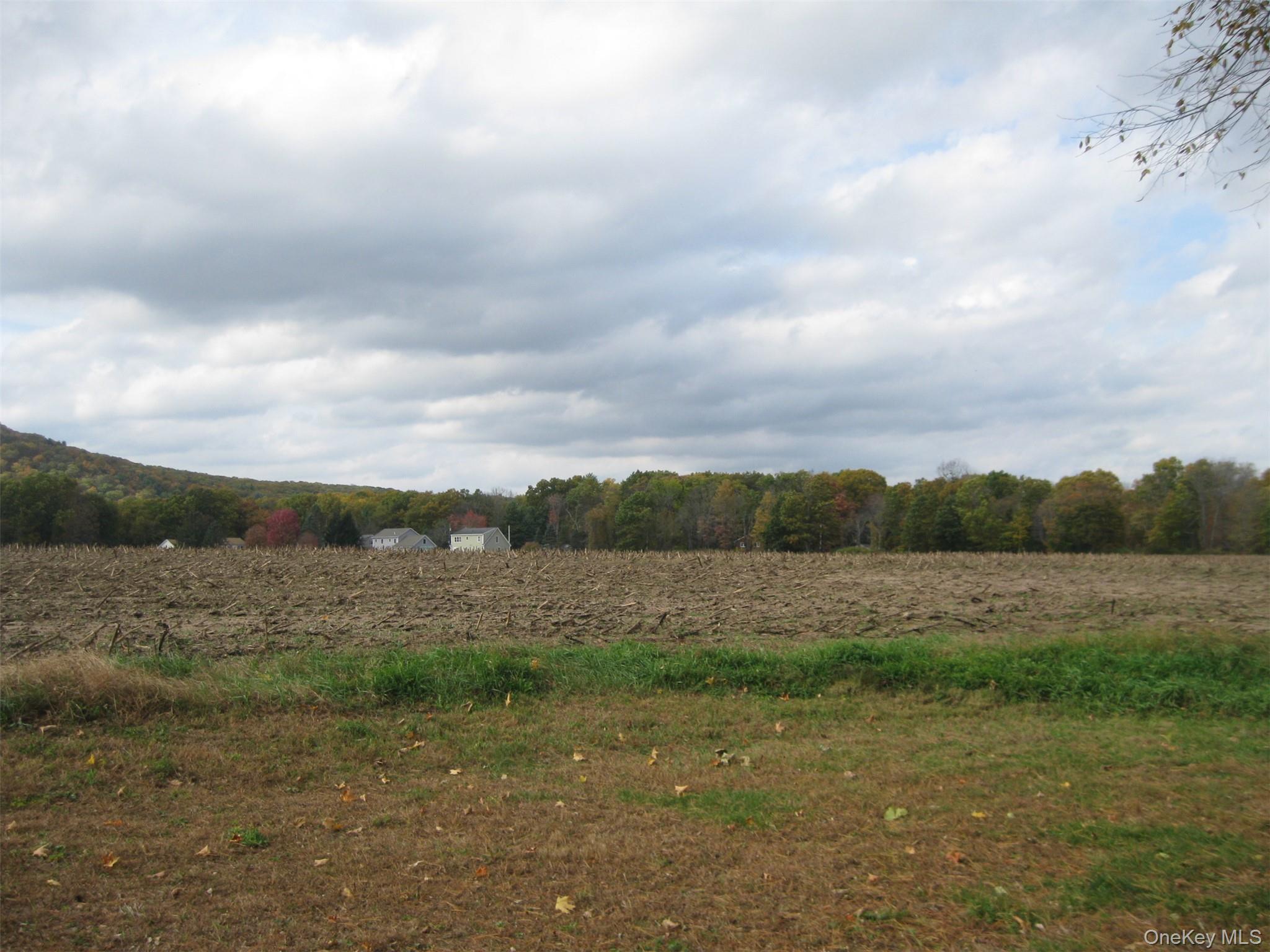 Single Family Lake  Dutchess County, NY 12567, MLS-924504-35