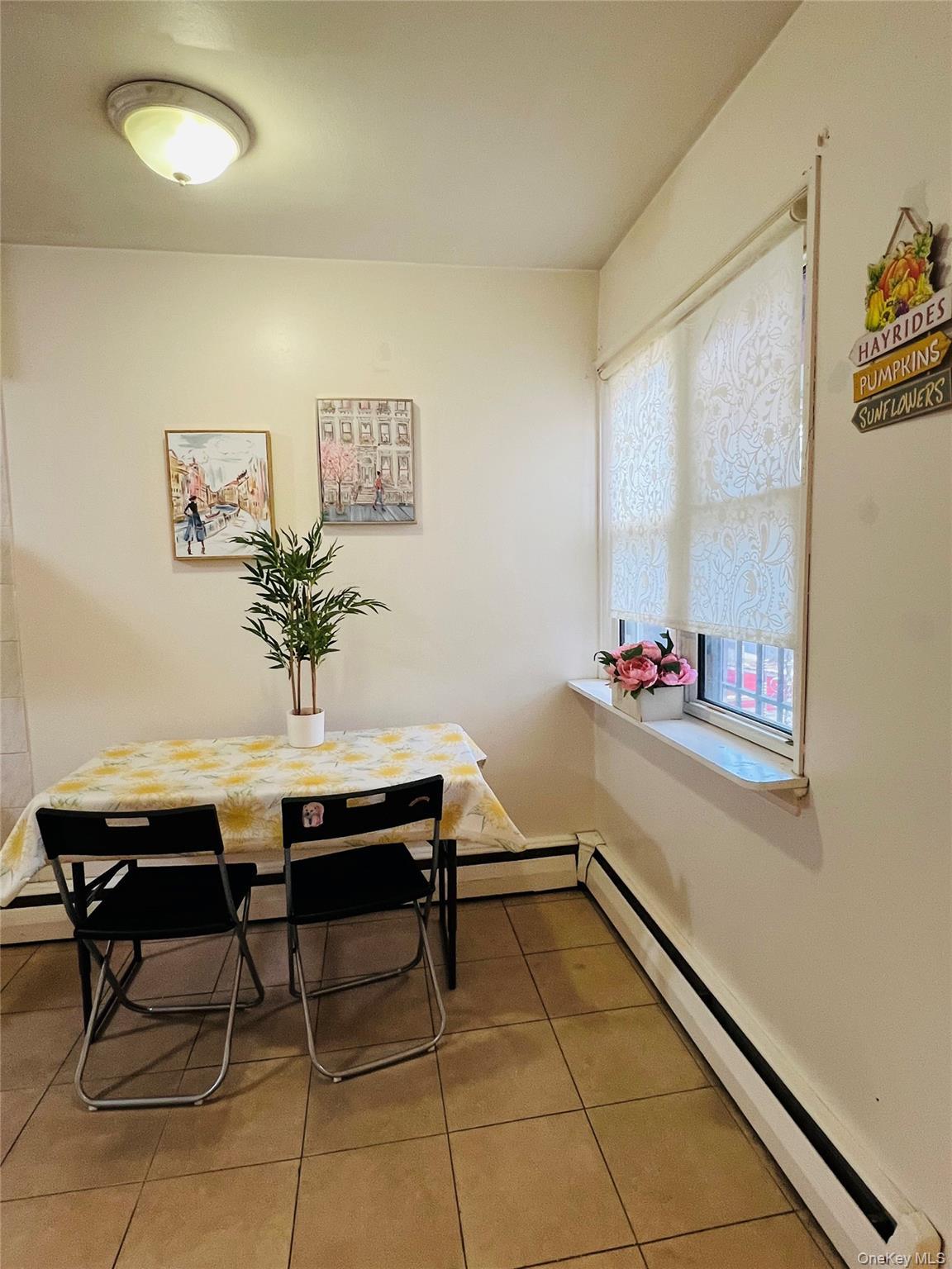 Single Family Peck  Queens, NY 11355, MLS-924517-32