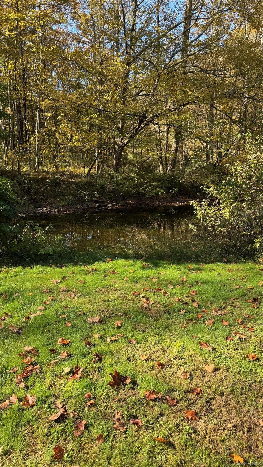 Single Family Blue Heron Dutchess County, NY 12580, MLS-924539-18