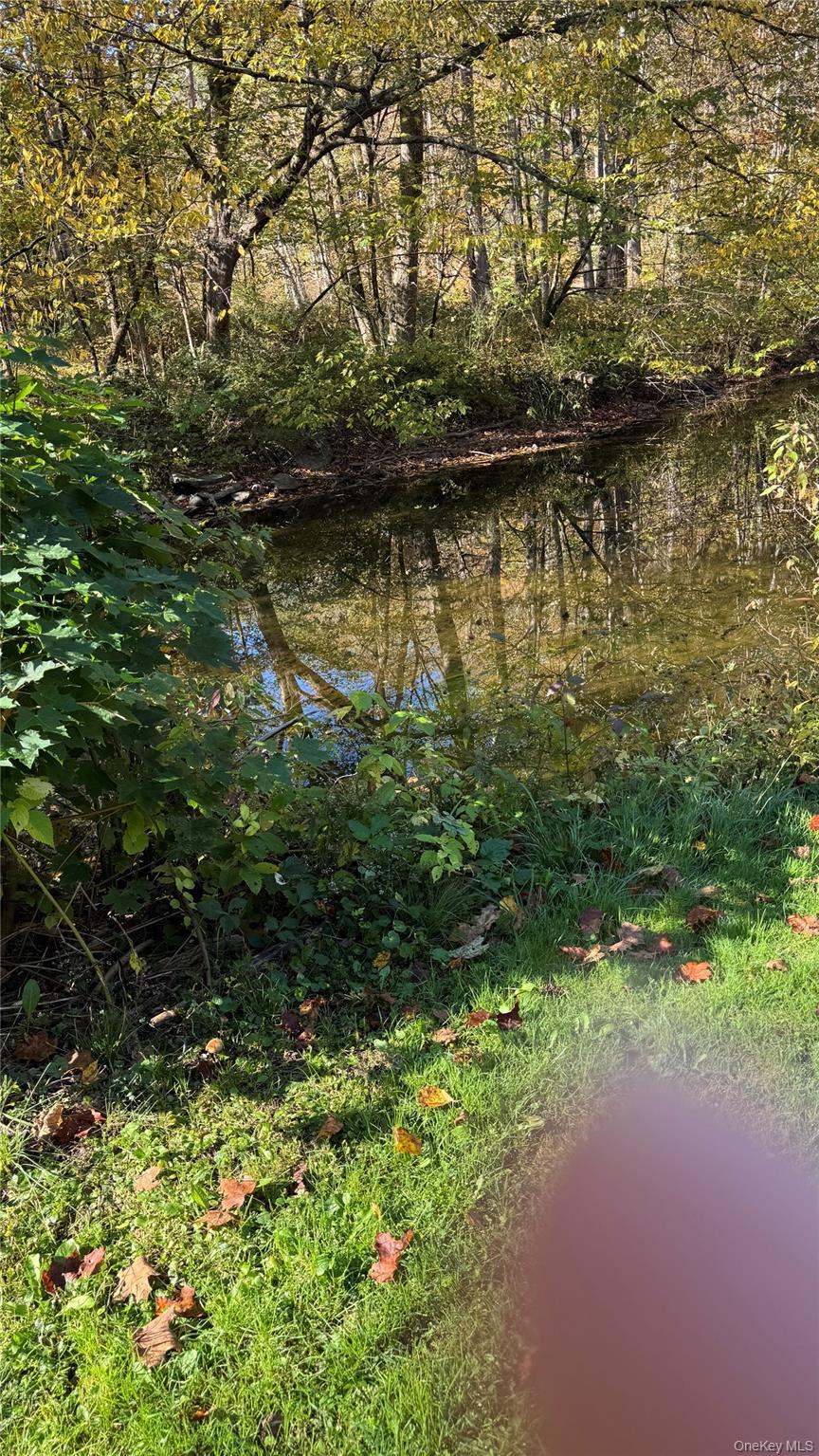 Single Family Blue Heron Dutchess County, NY 12580, MLS-924539-19