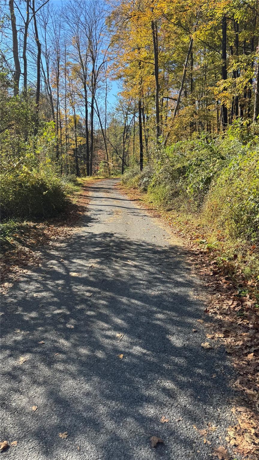 Single Family Blue Heron Dutchess County, NY 12580, MLS-924539-2