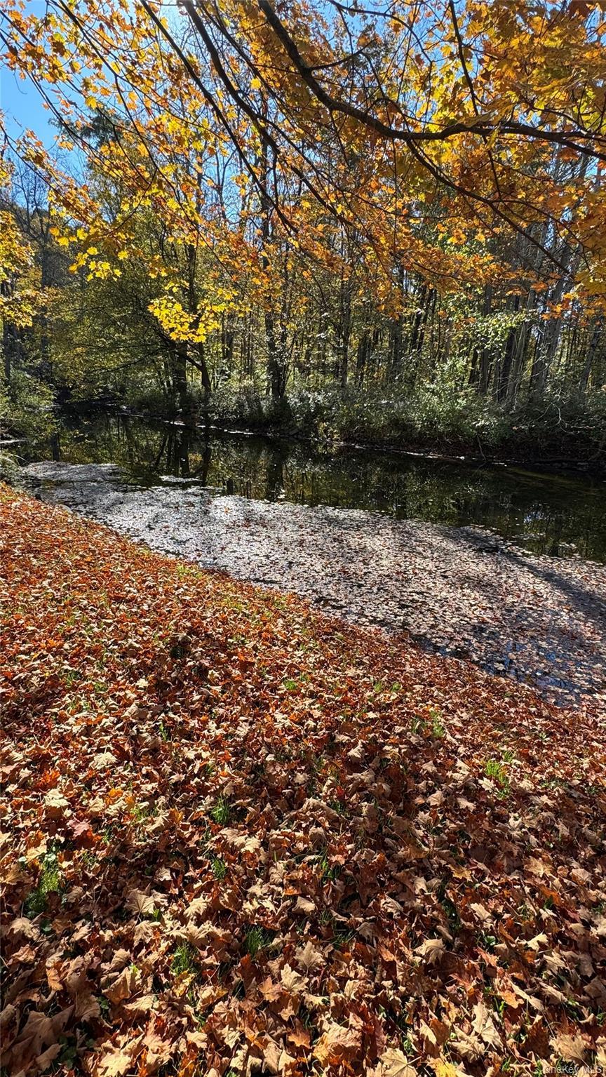 Single Family Blue Heron Dutchess County, NY 12580, MLS-924539-5