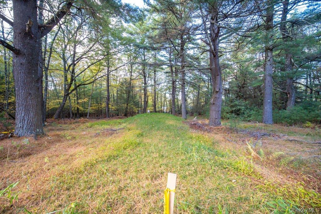 Single Family Little  Sullivan County, NY 12790, MLS-924562-24