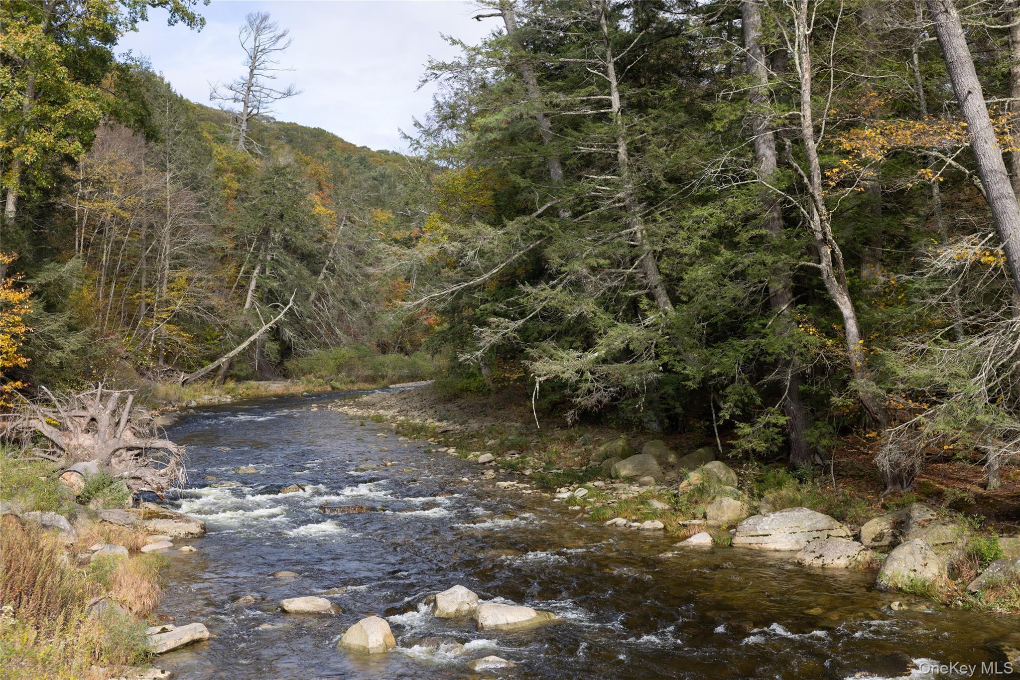 Single Family Frost Valley Sullivan County, NY 12725, MLS-924592-35