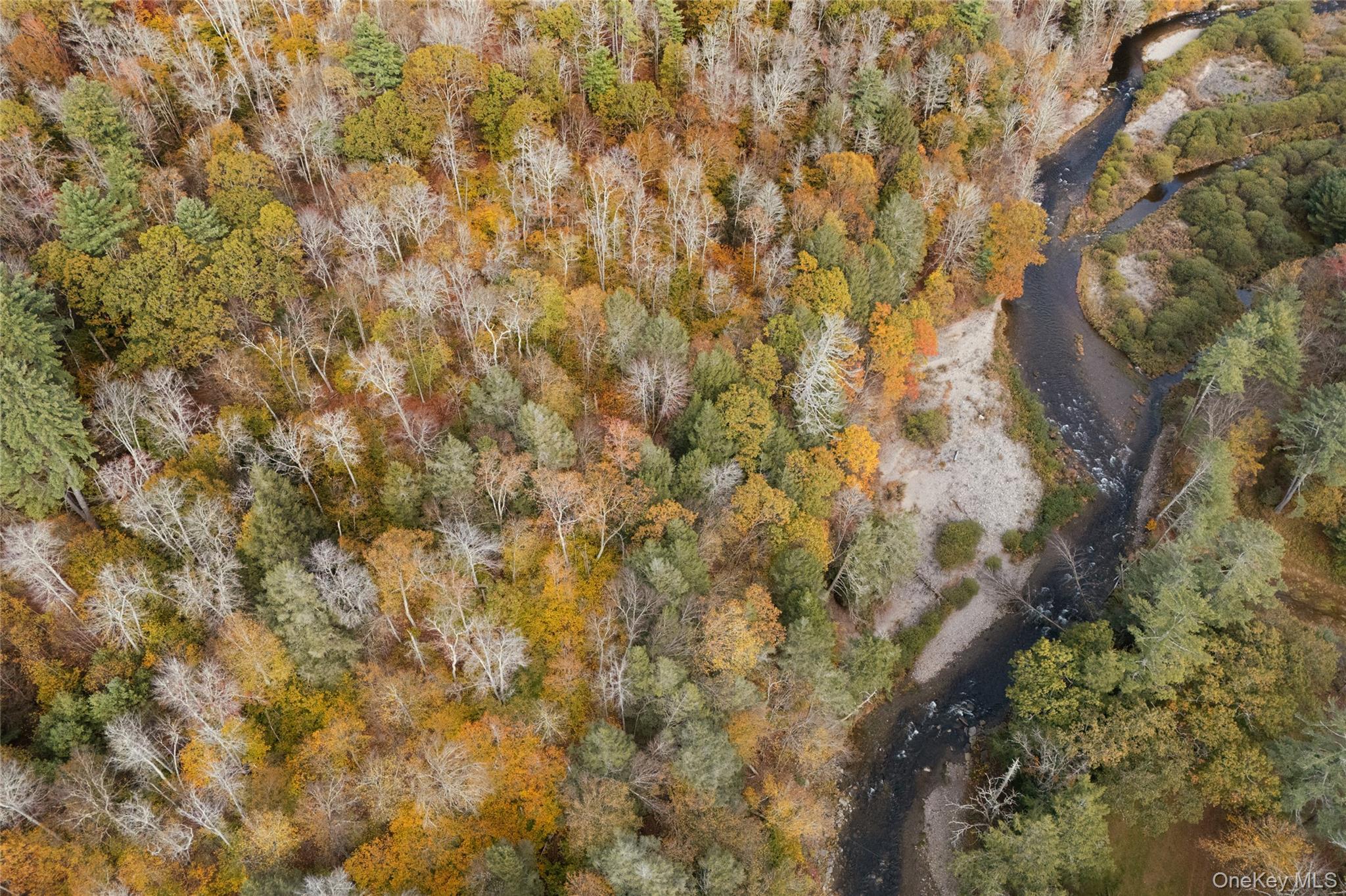 Single Family Frost Valley  Sullivan County, NY 12725, MLS-924592-36