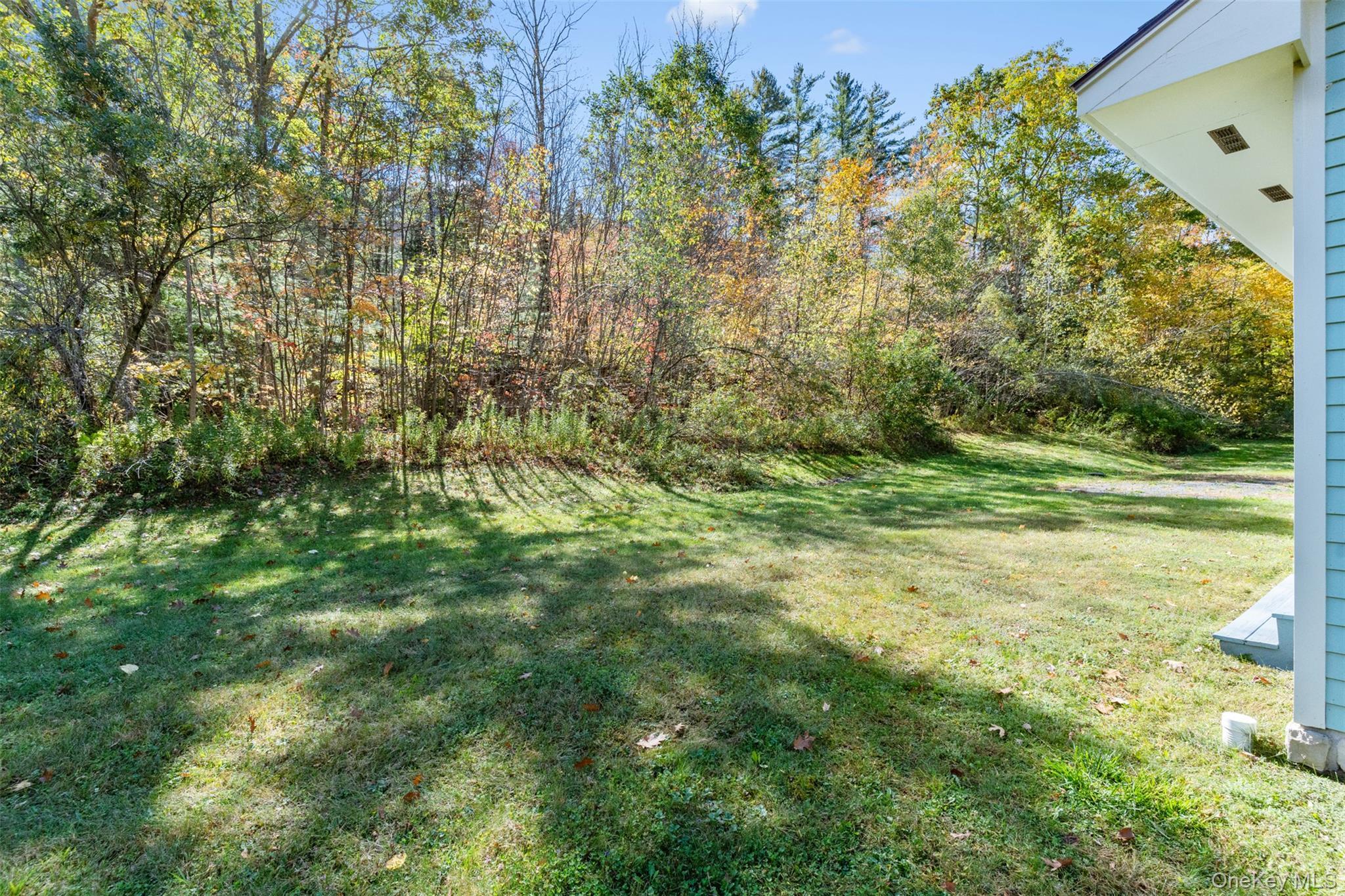 Single Family Fire House Ulster County, NY 12410, MLS-924625-25