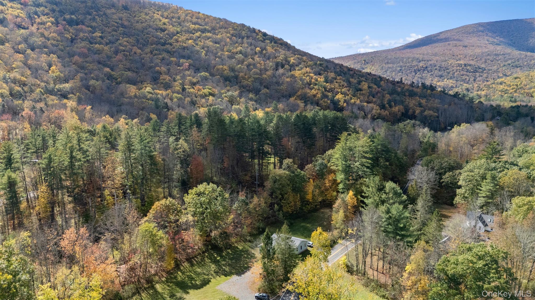 Single Family Fire House Ulster County, NY 12410, MLS-924625-31