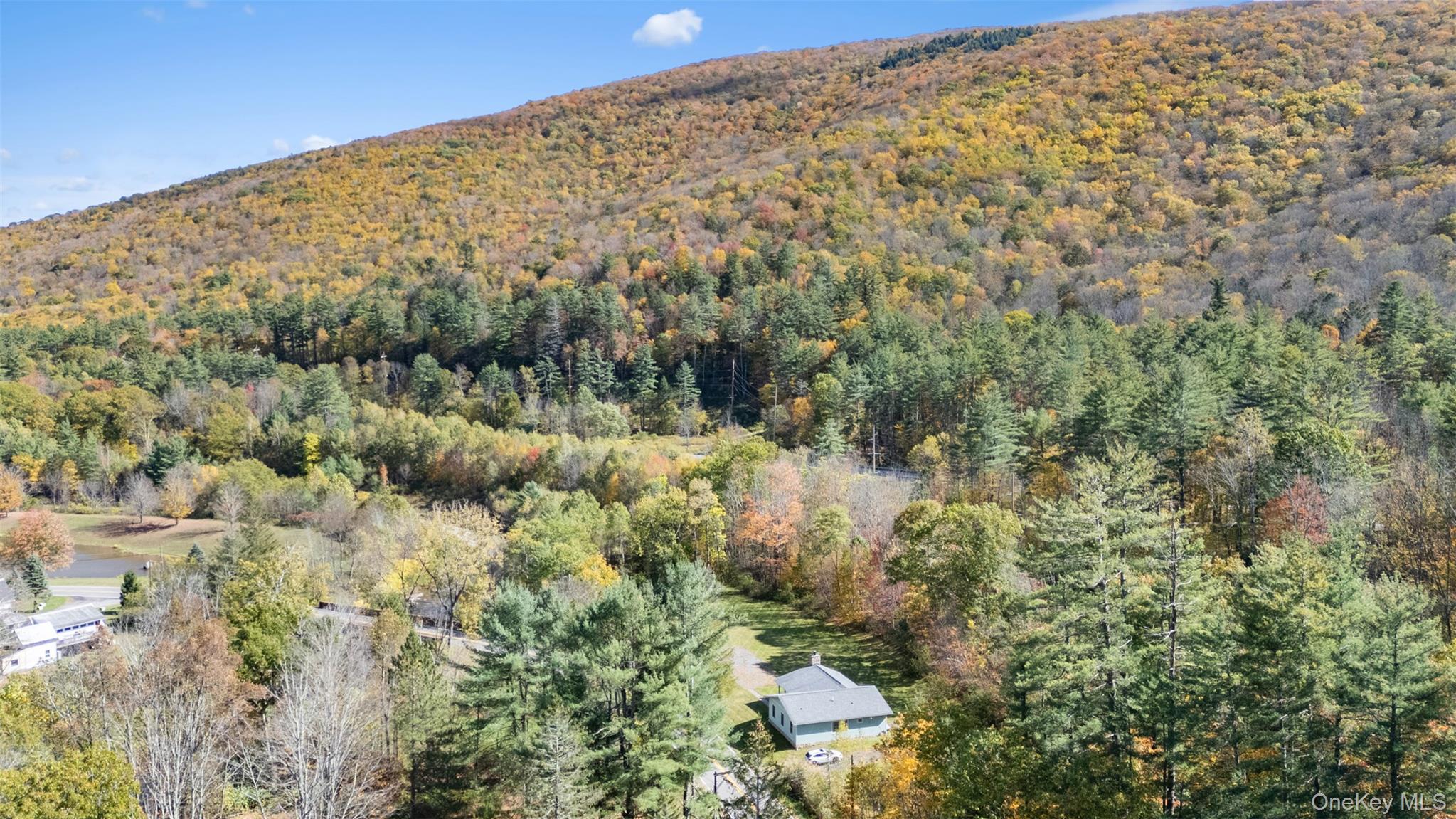 Single Family Fire House  Ulster County, NY 12410, MLS-924625-33