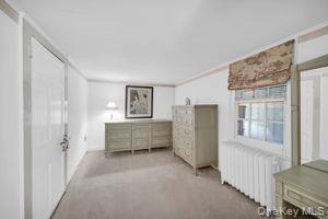 Single Family Ryder  Westchester County, NY 10562, MLS-924685-23