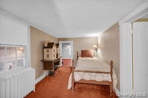 Single Family Ryder  Westchester County, NY 10562, MLS-924685-26