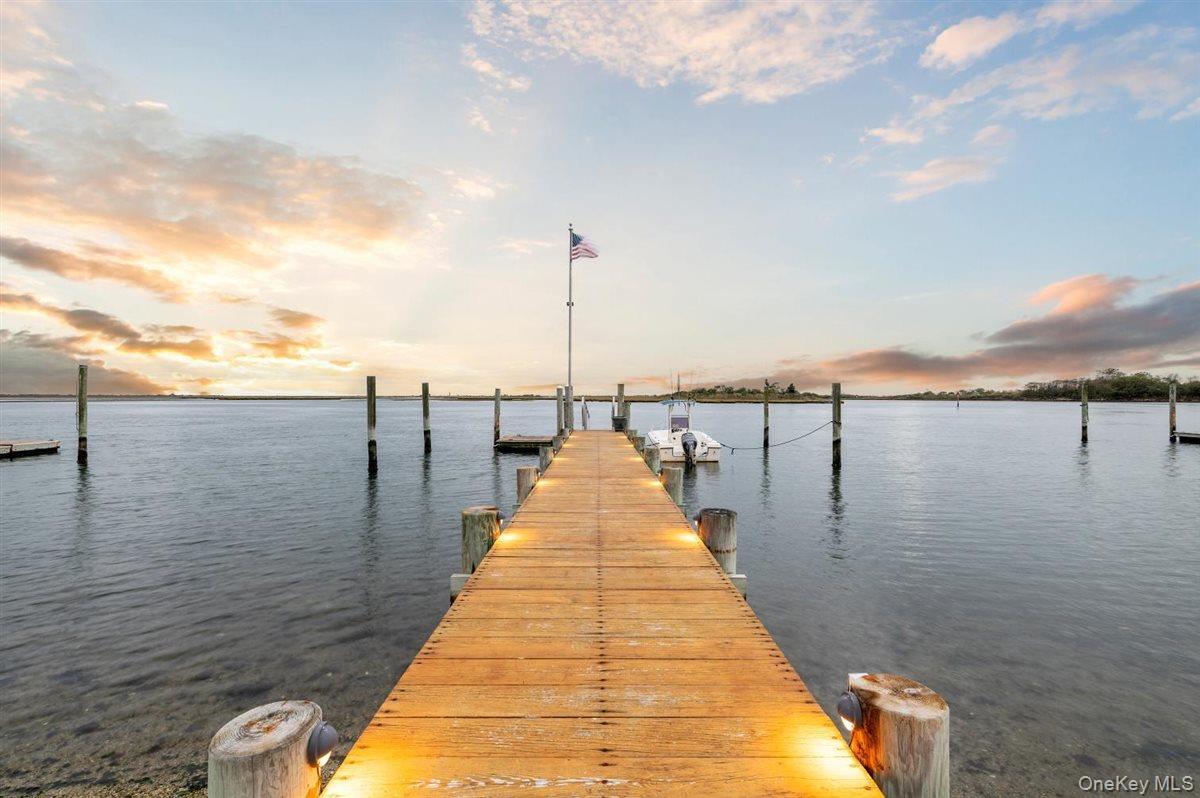 Single Family Brockmeyer Nassau County, NY 11758, MLS-924698-6