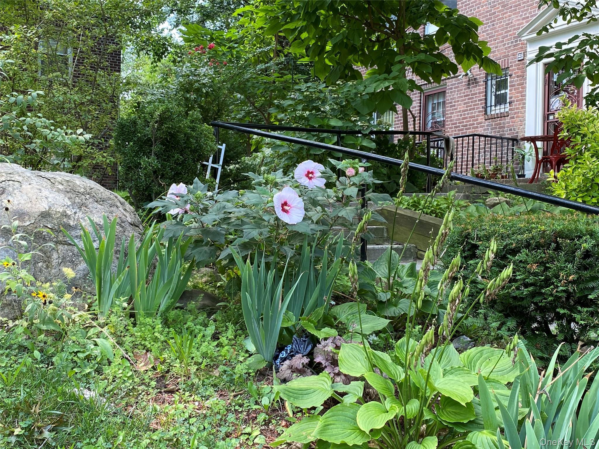 Coop Charter Road  Queens, NY 11435, MLS-924716-17