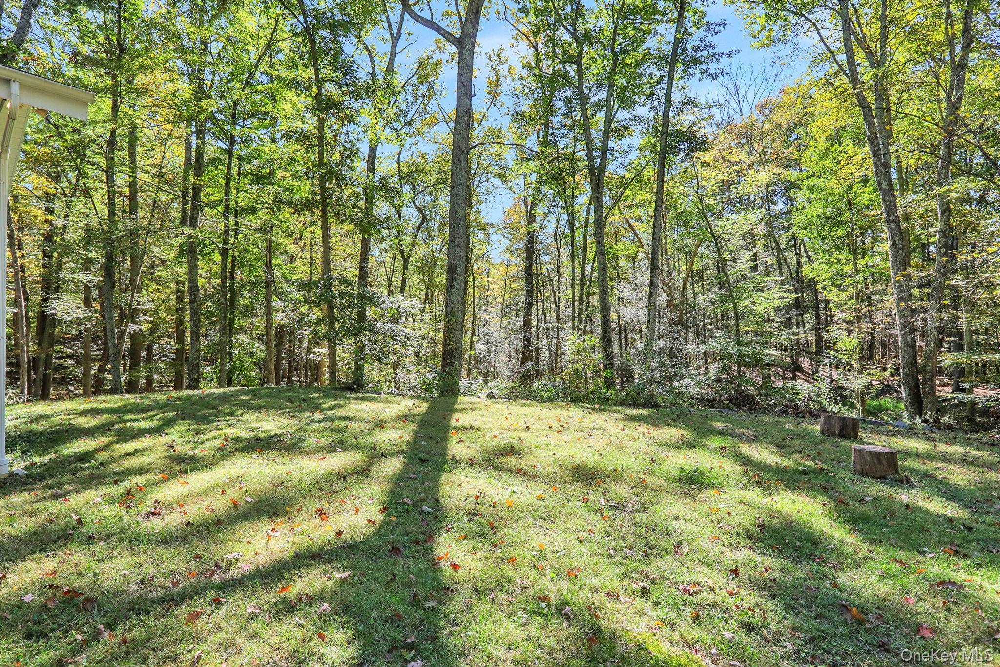 Single Family Old Post Ulster County, NY 12561, MLS-924777-30