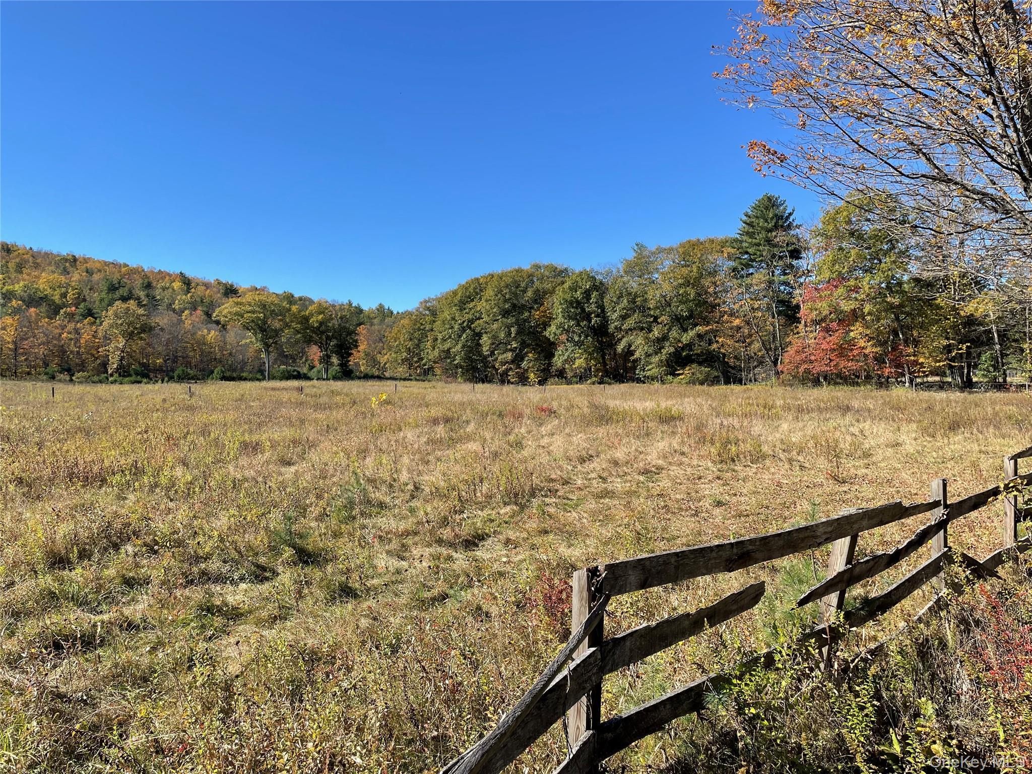 Single Family Sportsman Ulster County, NY 12458, MLS-924796-5