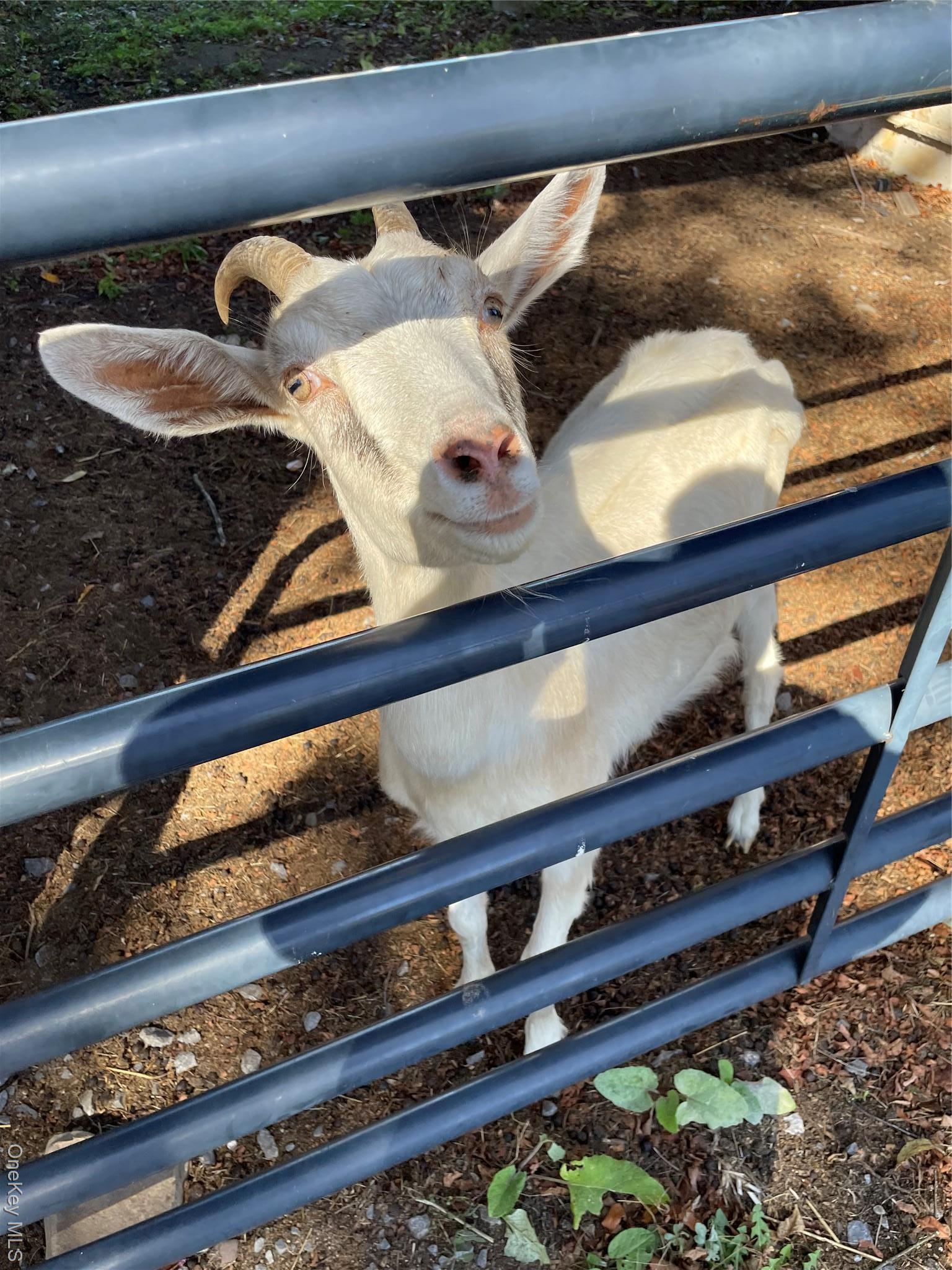 Single Family Sportsman Ulster County, NY 12458, MLS-924796-8