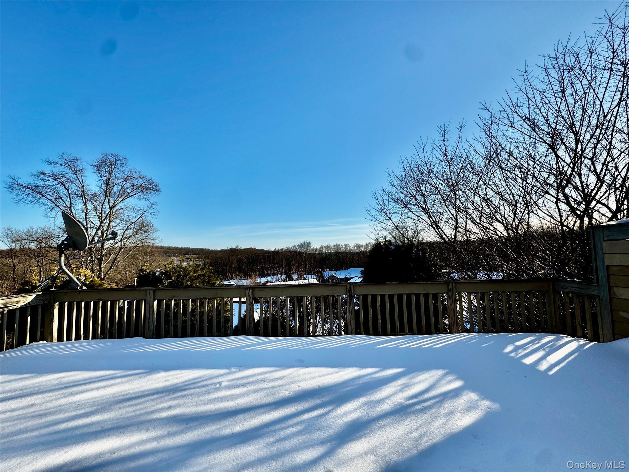 Condo Heritage  Westchester County, NY 10589, MLS-924831-25