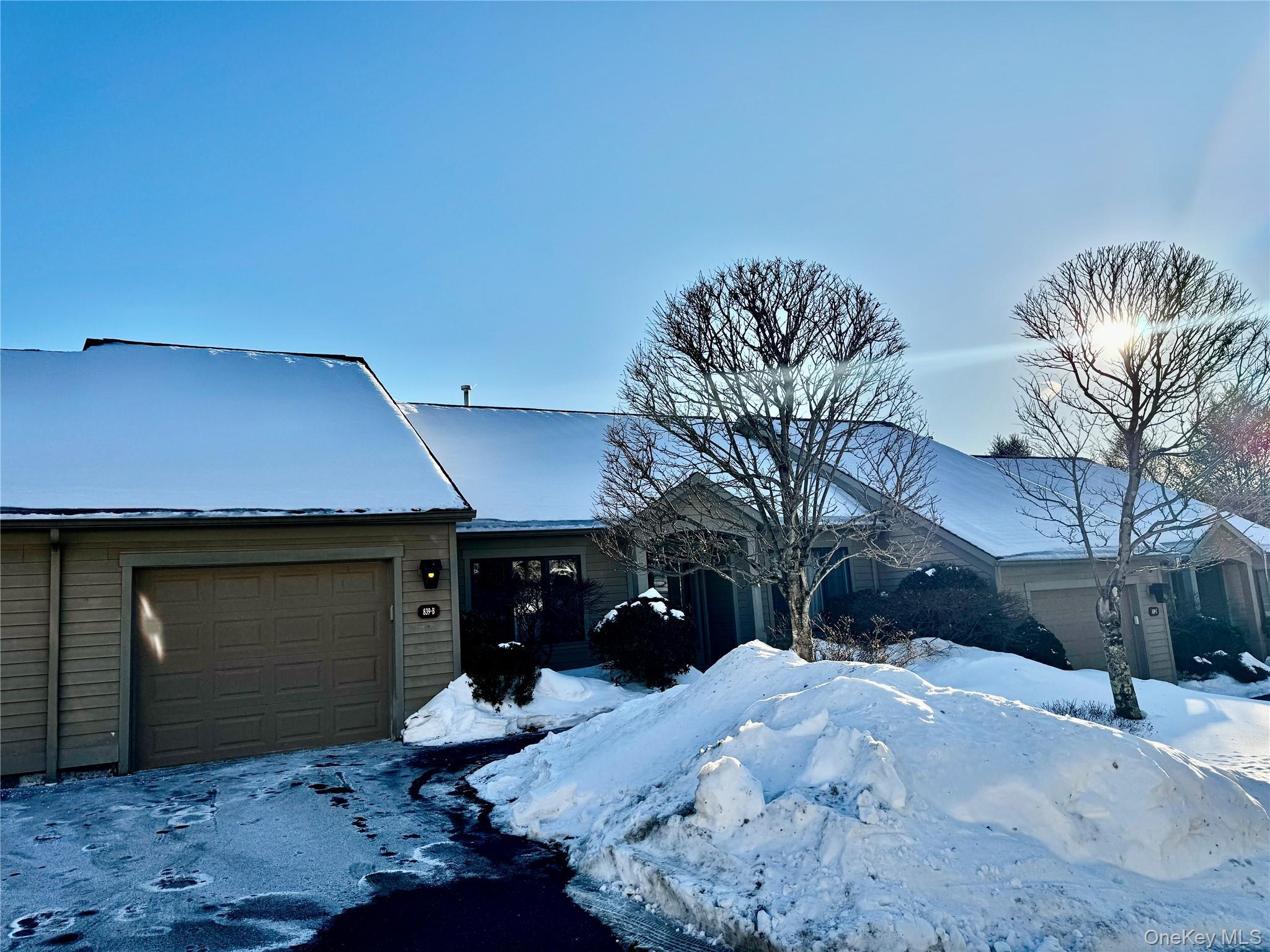 Condo Heritage  Westchester County, NY 10589, MLS-924831-3