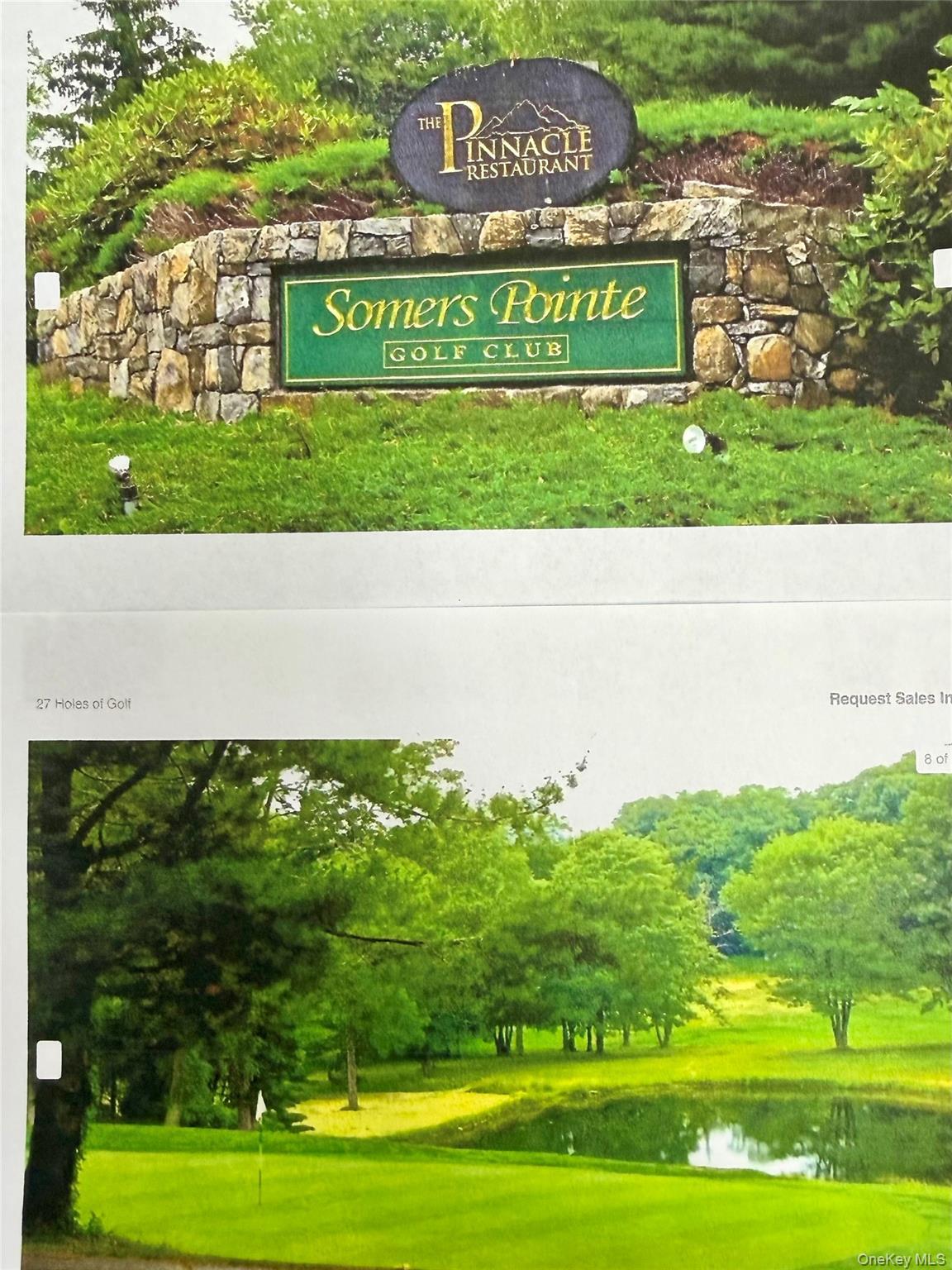 Condo Heritage  Westchester County, NY 10589, MLS-924831-30