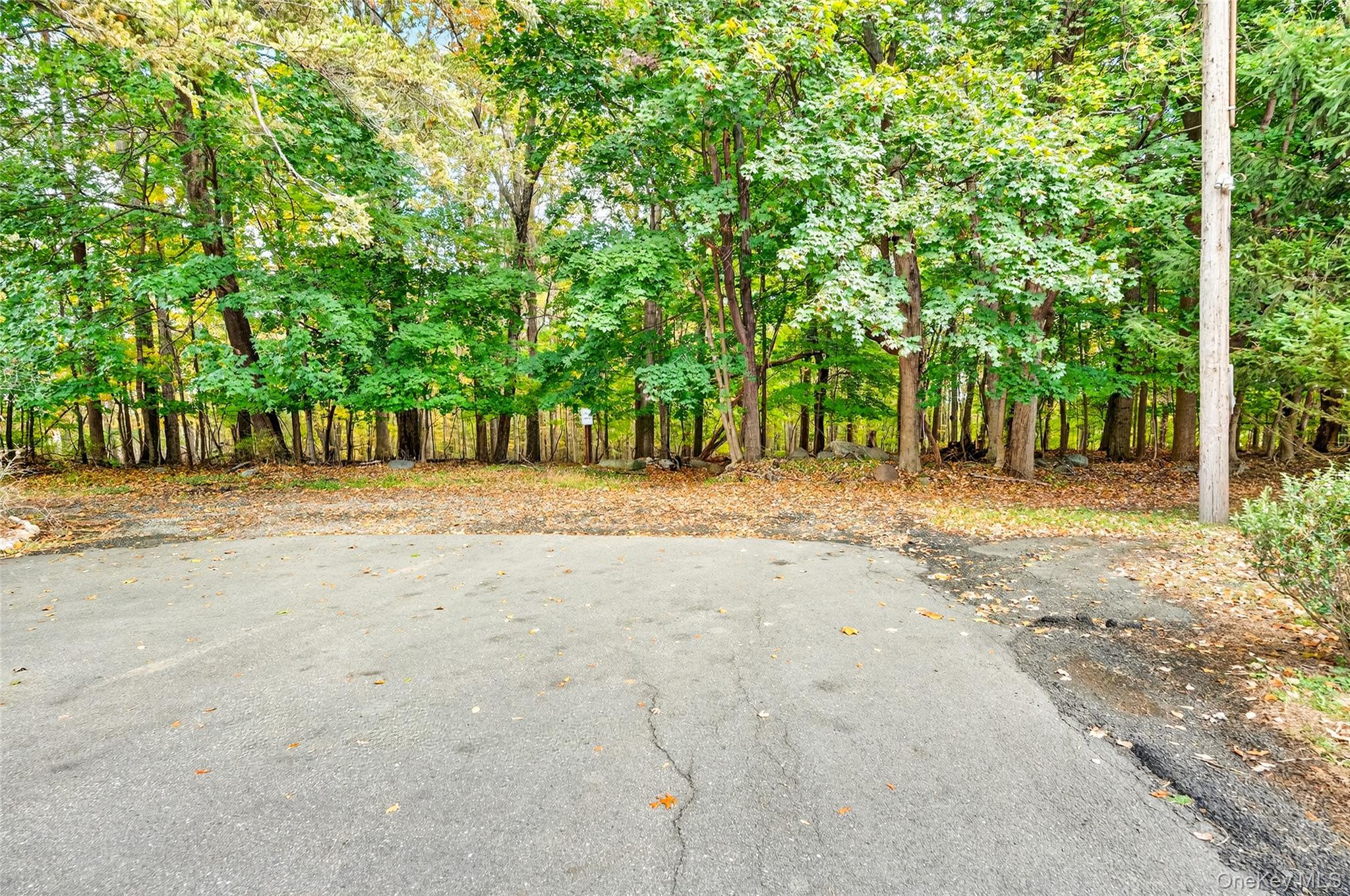 Single Family Oakwood  Rockland County, NY 10954, MLS-924858-48