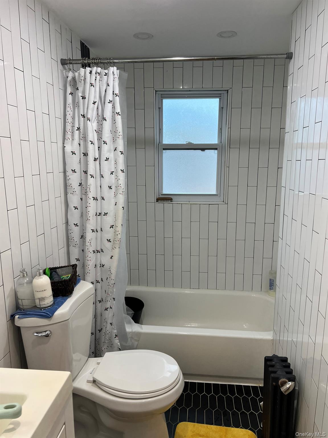 Single Family 147th  Queens, NY 11436, MLS-924870-5