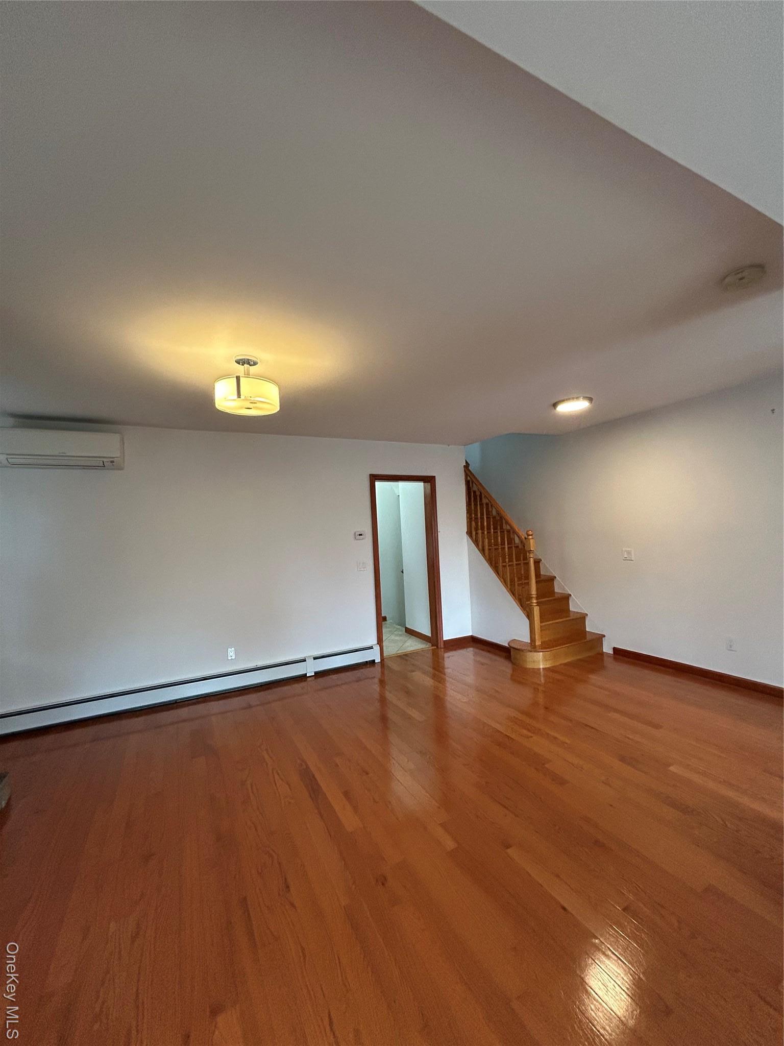 Single Family 2 Nassau County, NY 11040, MLS-924878-2