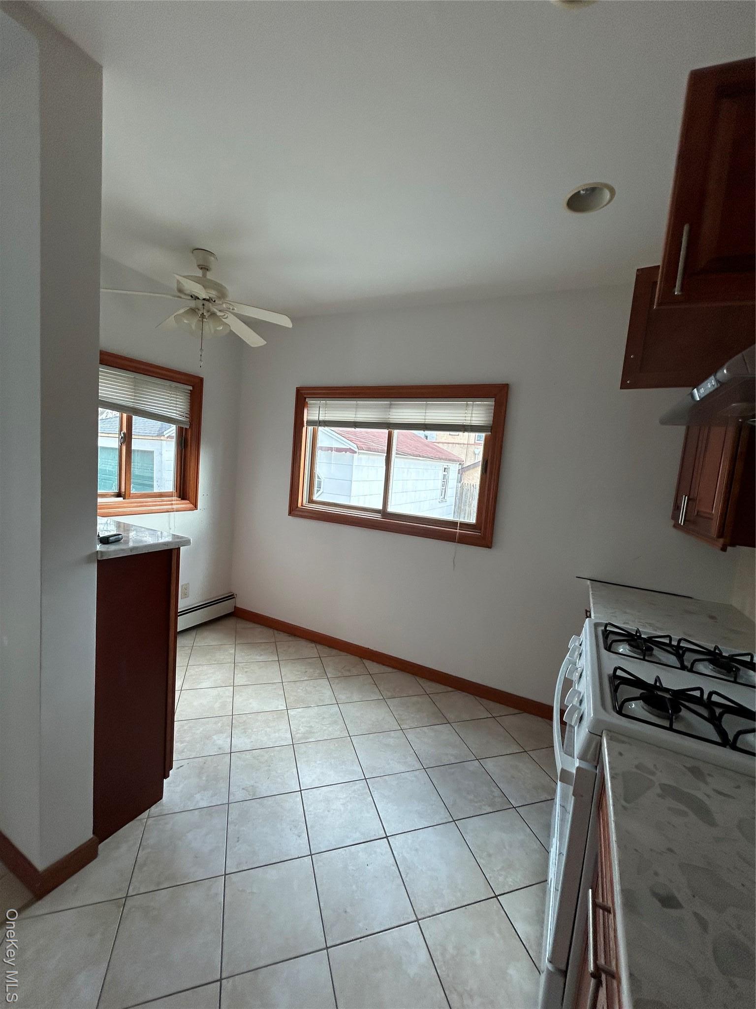 Single Family 2 Nassau County, NY 11040, MLS-924878-5