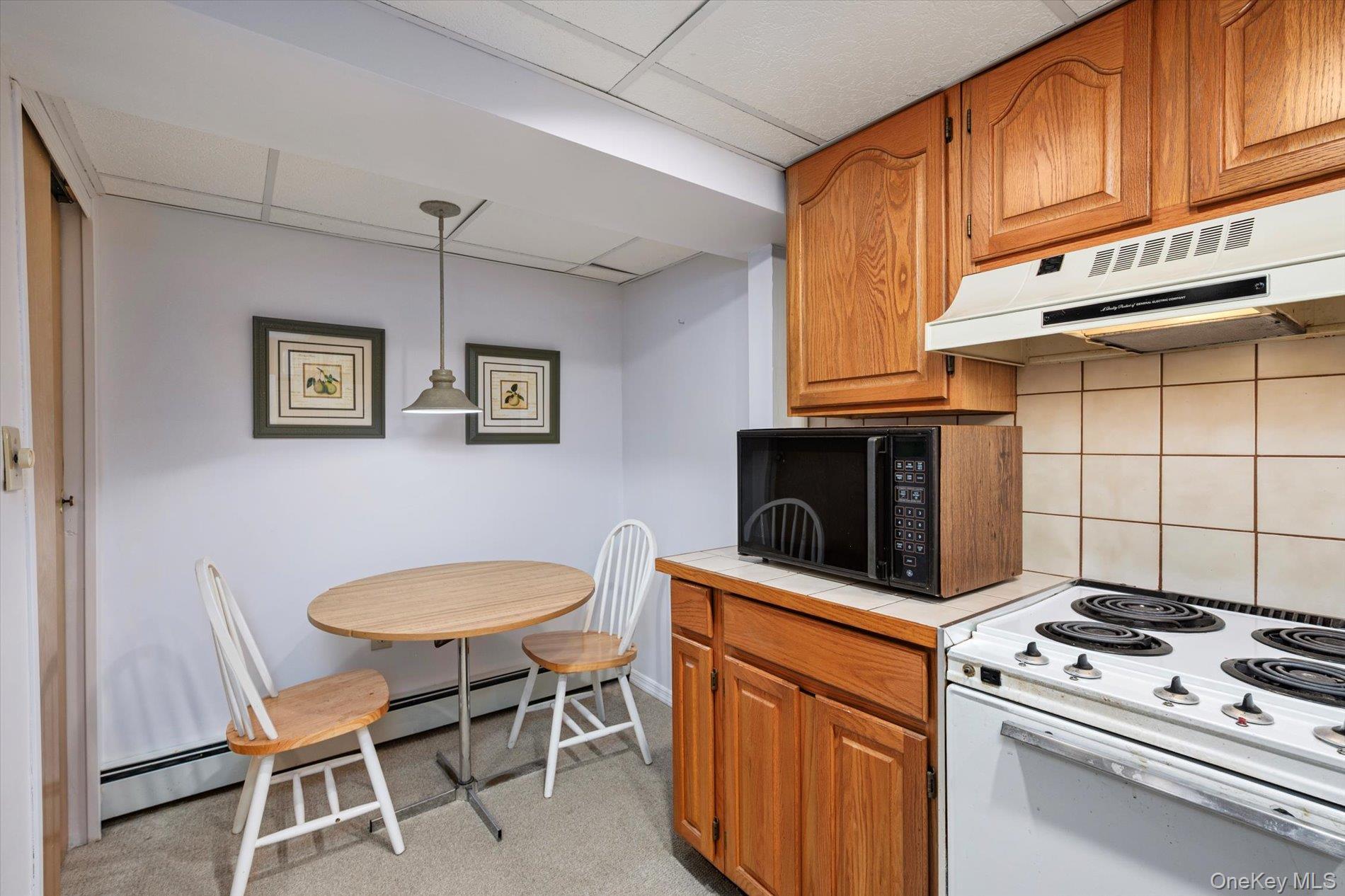 Single Family Walnut  Nassau County, NY 11735, MLS-924908-23