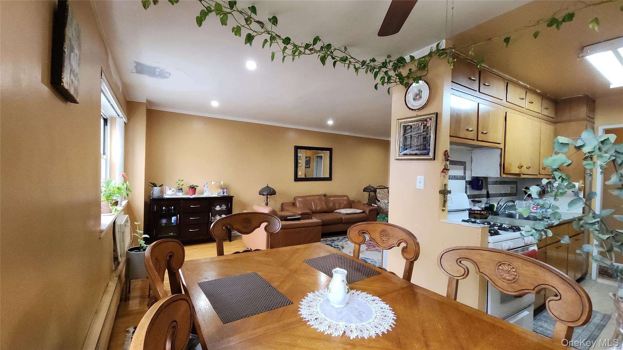 Coop 60th Queens, NY 11368, MLS-924982-10