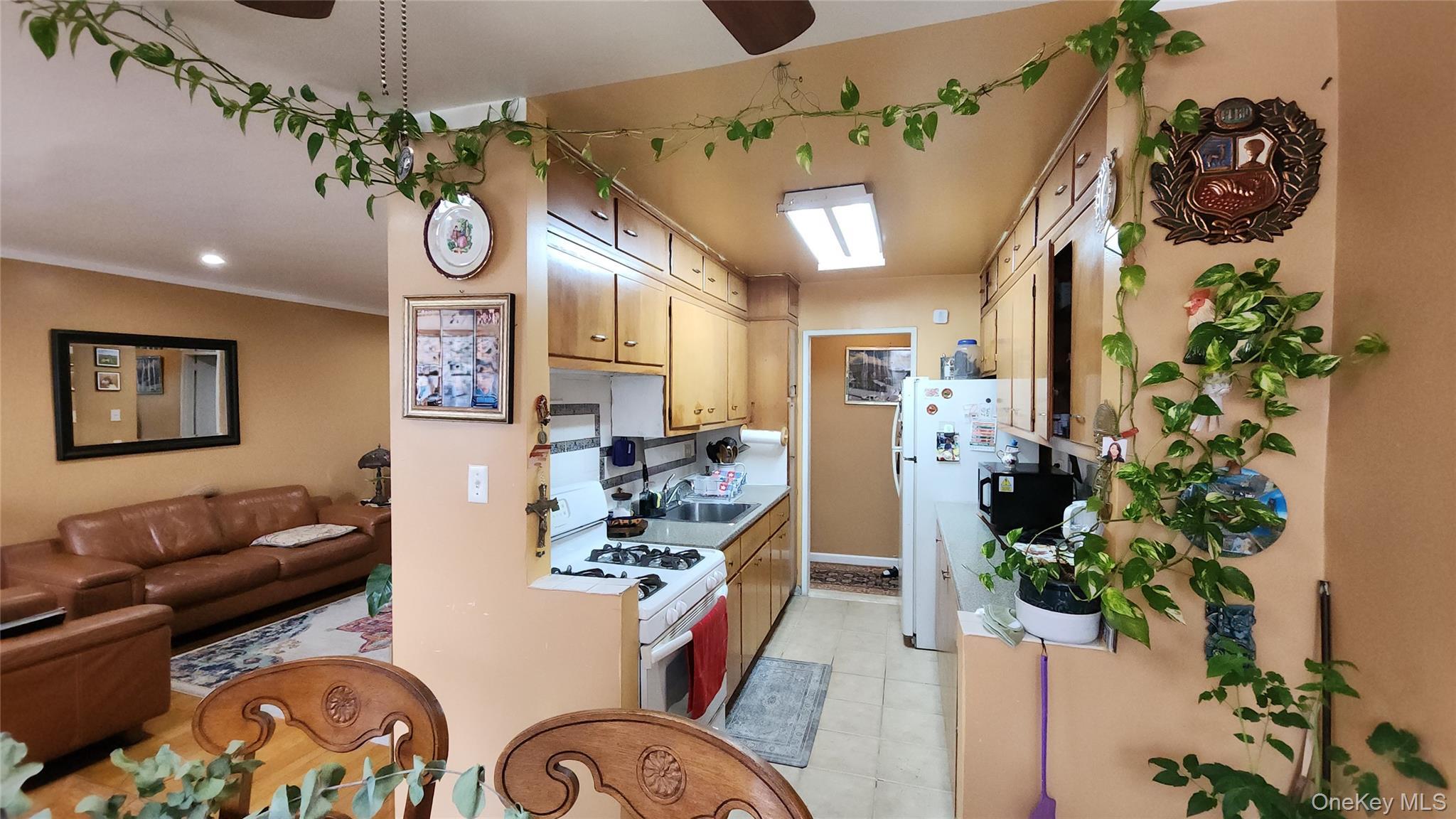 Coop 60th Queens, NY 11368, MLS-924982-11