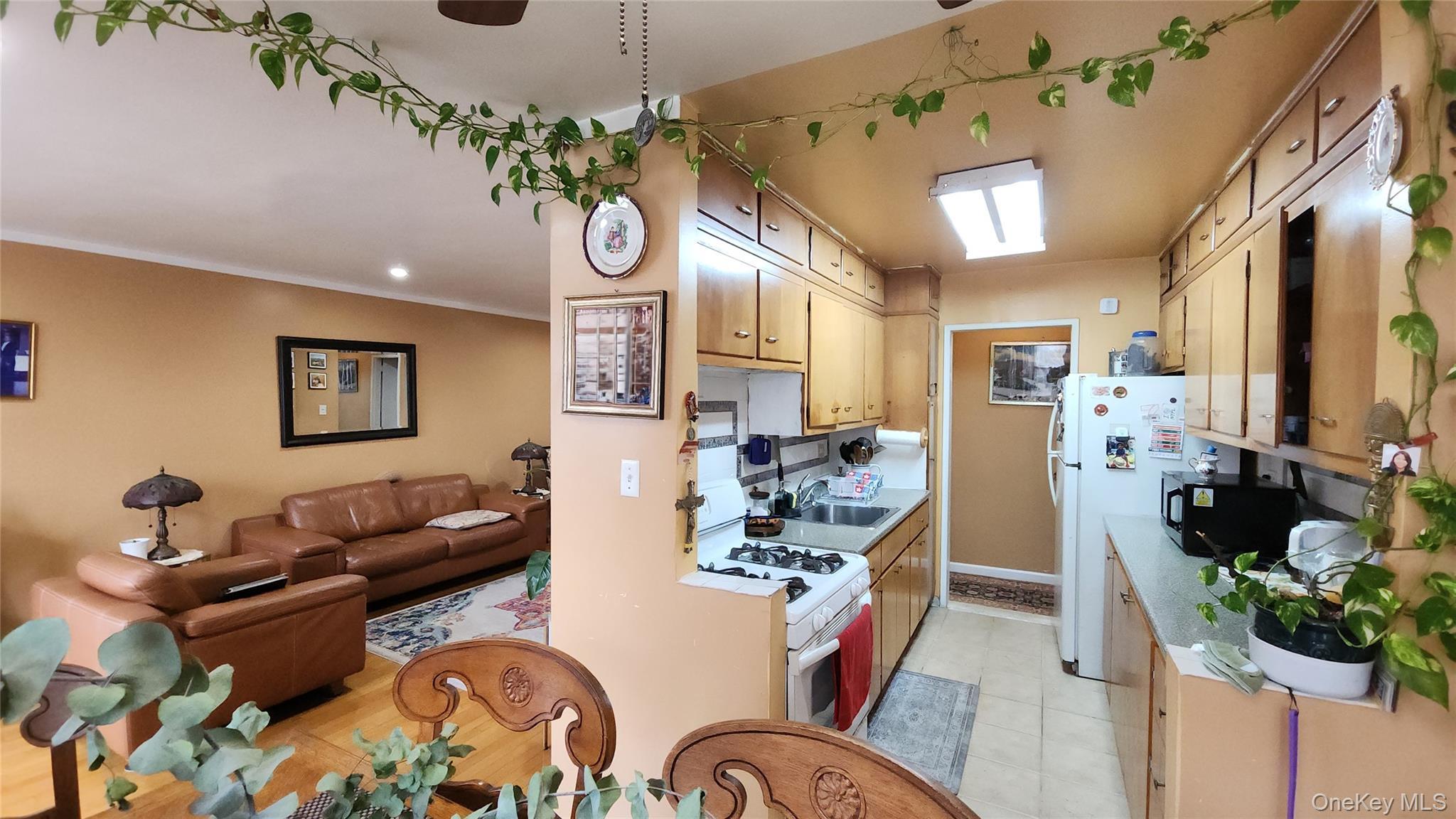 Coop 60th Queens, NY 11368, MLS-924982-12