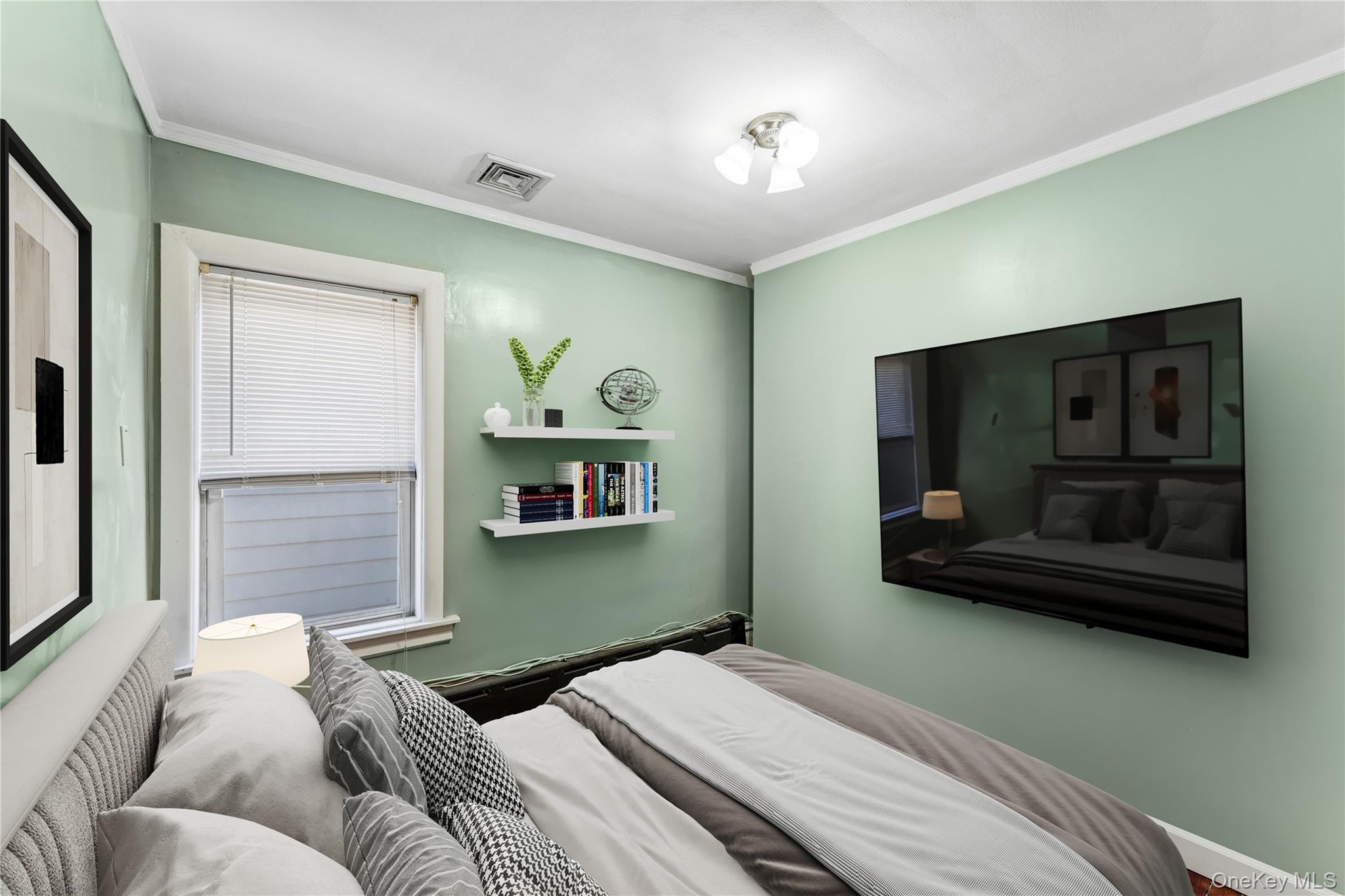 Single Family Avenue I  Brooklyn, NY 11210, MLS-924997-17