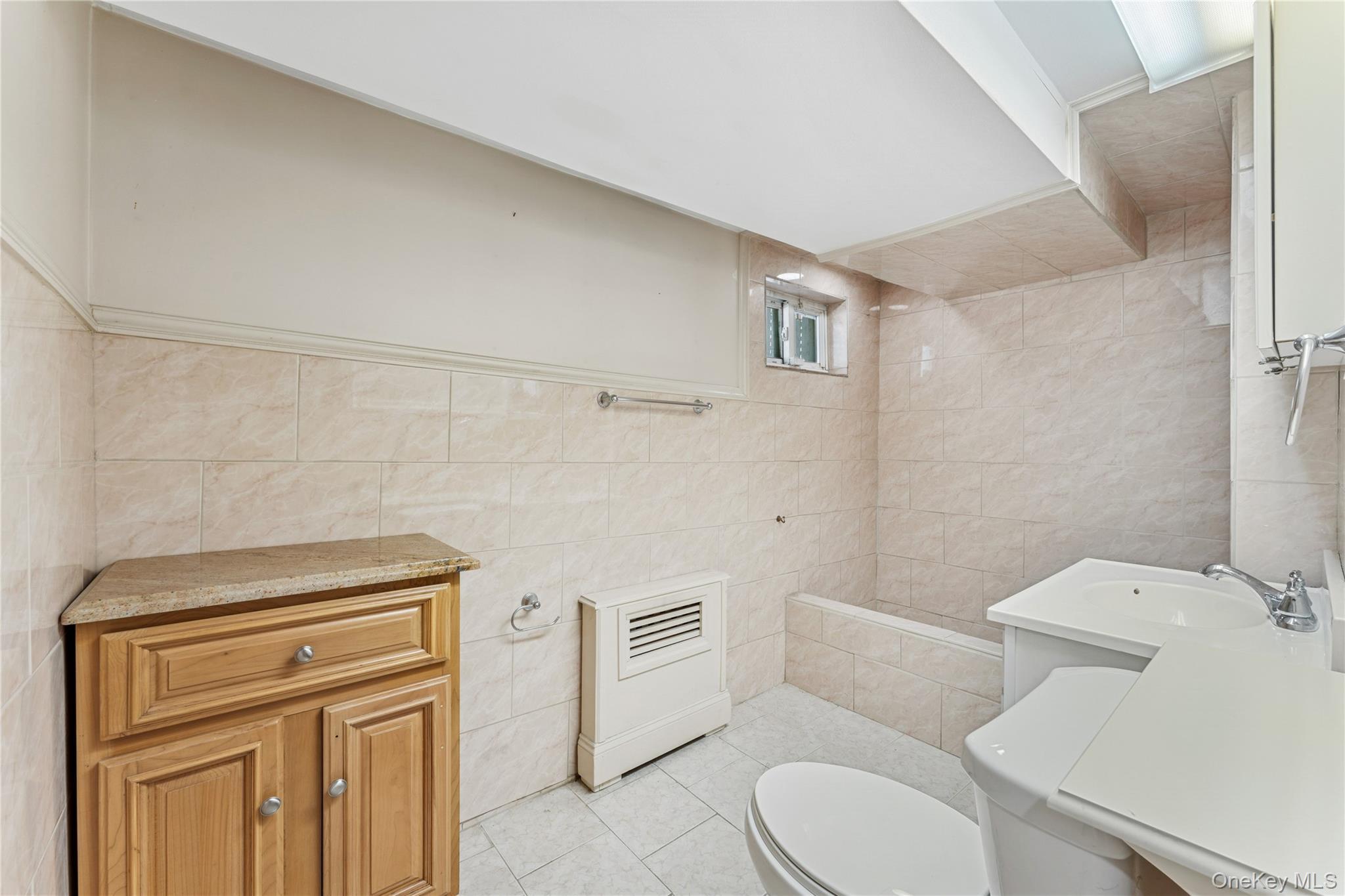 Single Family Avenue I  Brooklyn, NY 11210, MLS-924997-20