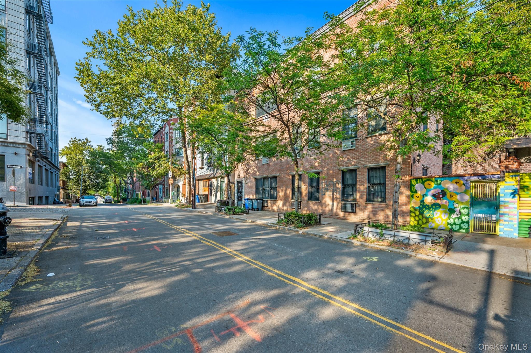 Single Family Hudson Brooklyn, NY 11201, MLS-925008-2